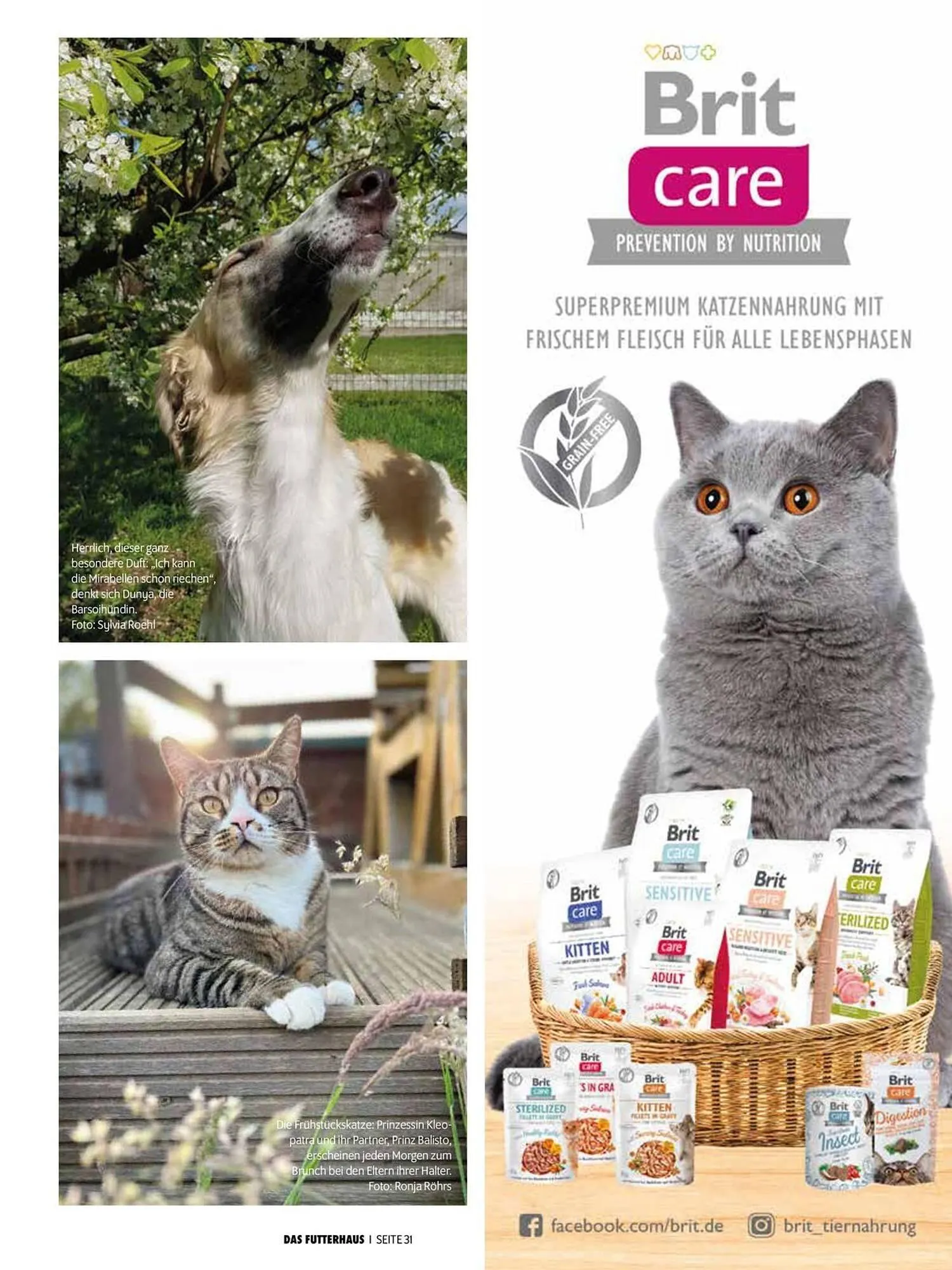 Das Futterhaus Flugblatt von 31. Mai bis 23. Juni 2024 - Flugblätt seite  31