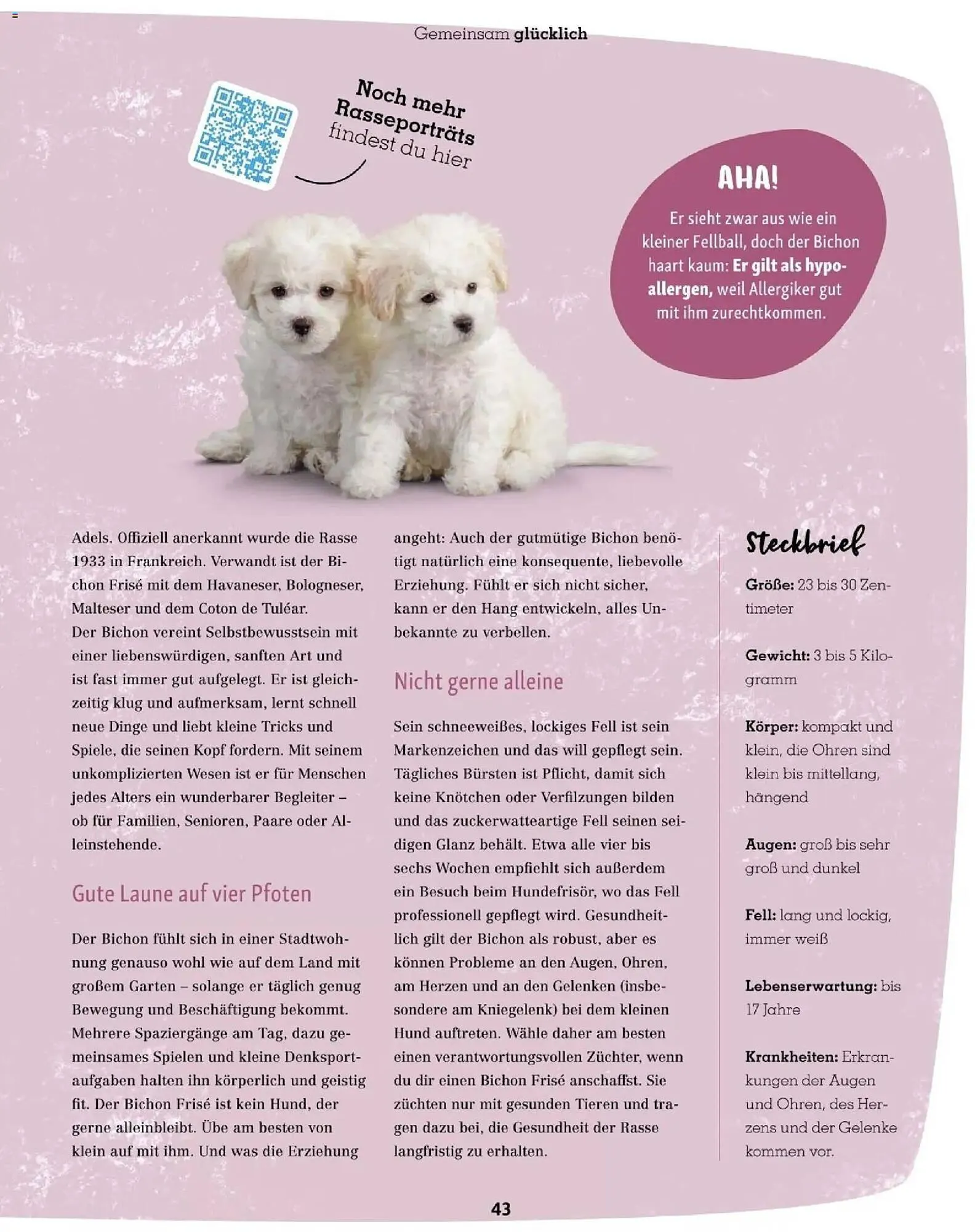 Fressnapf Flugblatt von 1. Jänner bis 28. Februar 2026 - Flugblätt seite 43