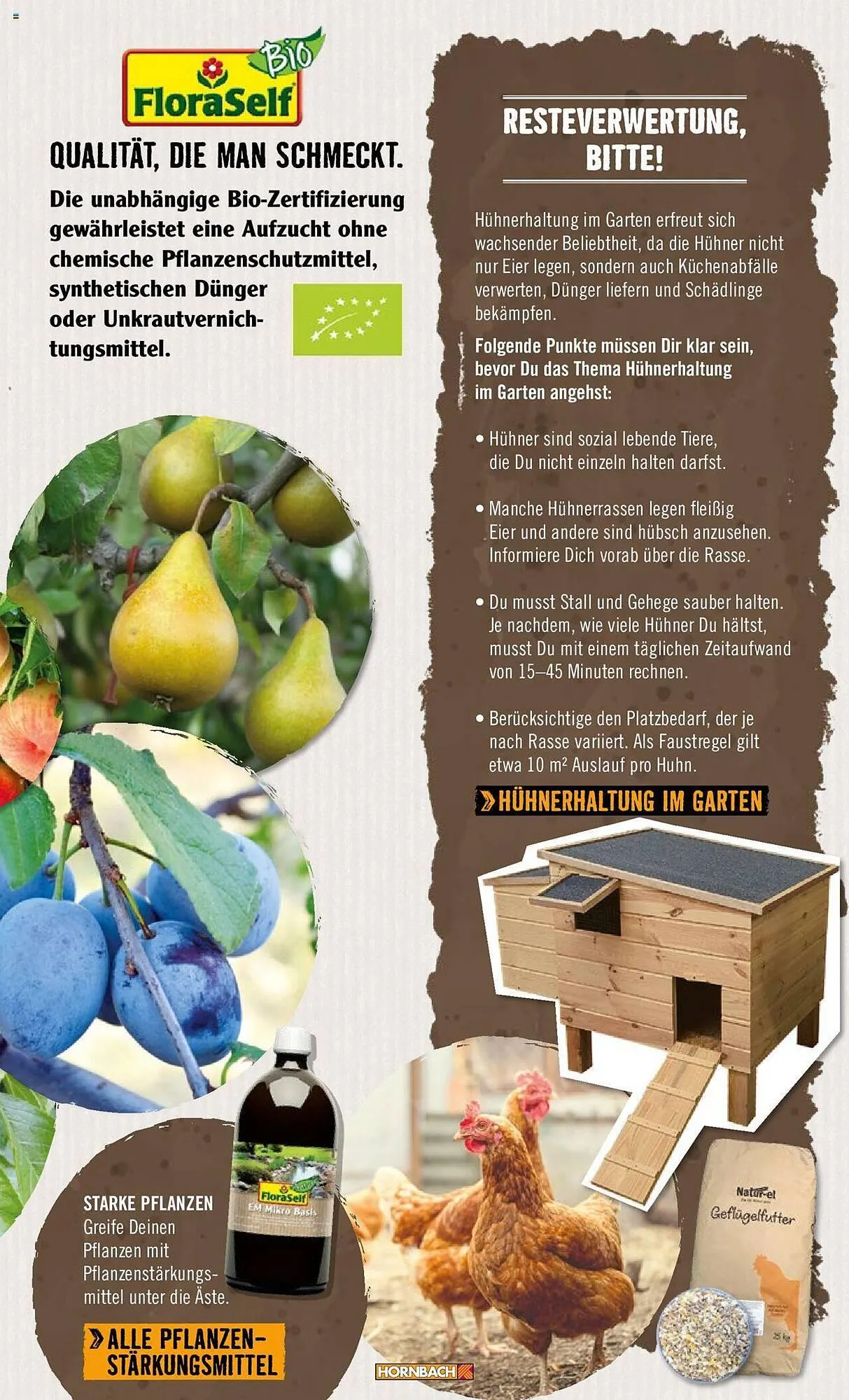 Hornbach Flugblatt von 21. März bis 31. Dezember 2024 - Flugblätt seite 9