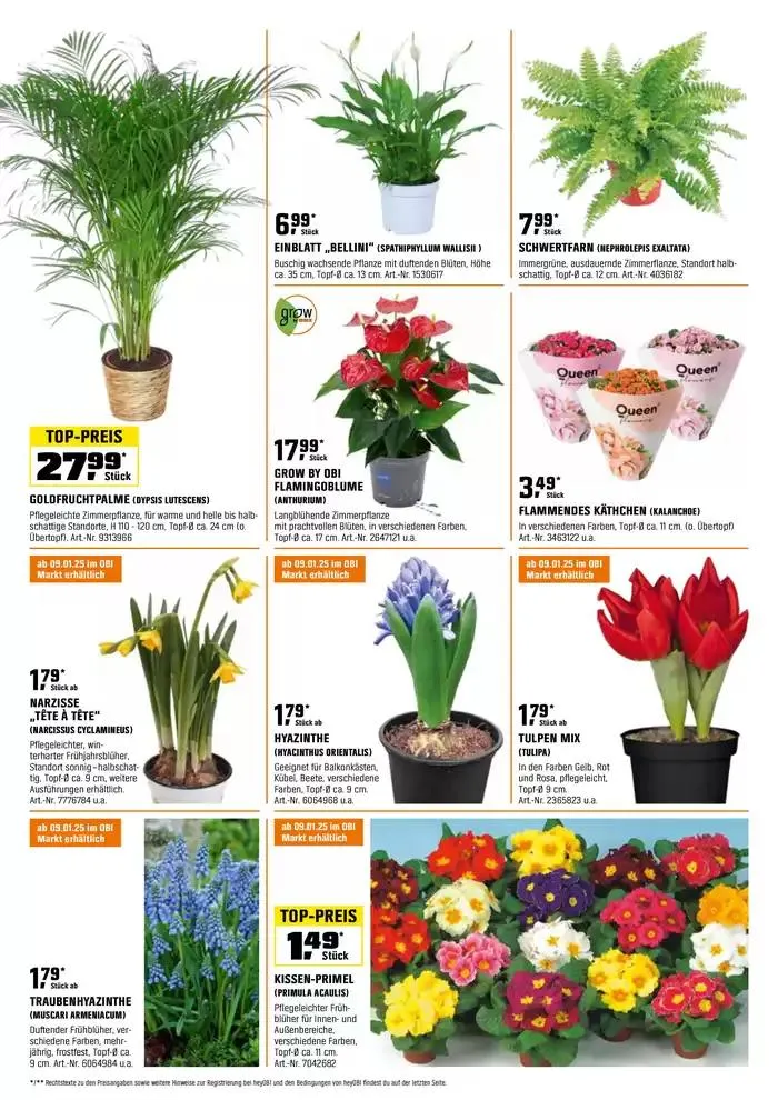 BIBERSTARKE ANGEBOTE von 22. Dezember bis 15. Jänner 2025 - Flugblätt seite 9