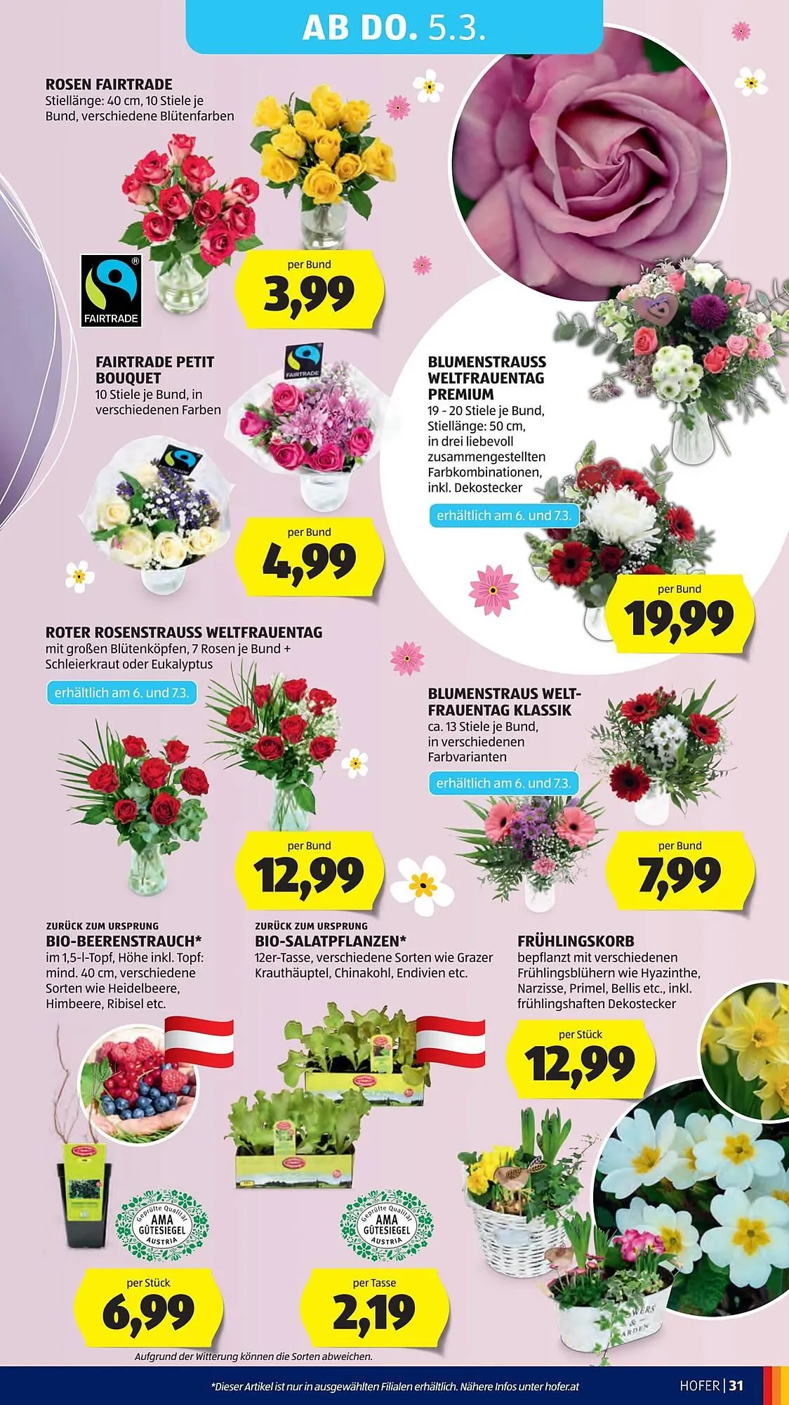 Hofer Flugblatt von 25. Februar bis 5. März 2026 - Flugblätt seite  35