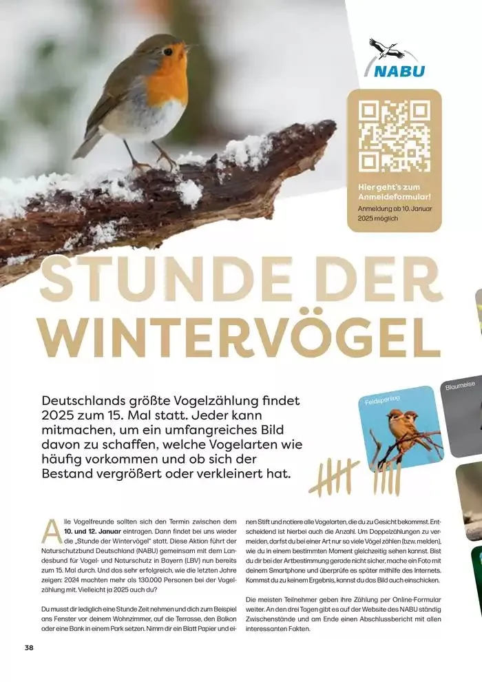 Angebote ZOO & Co von 29. November bis 13. Dezember 2024 - Flugblätt seite  38