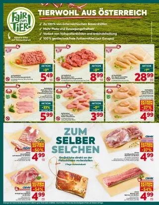 BILLA PLUS Flugblatt von 24. September bis 30. September 2026 - Flugblätt seite  8