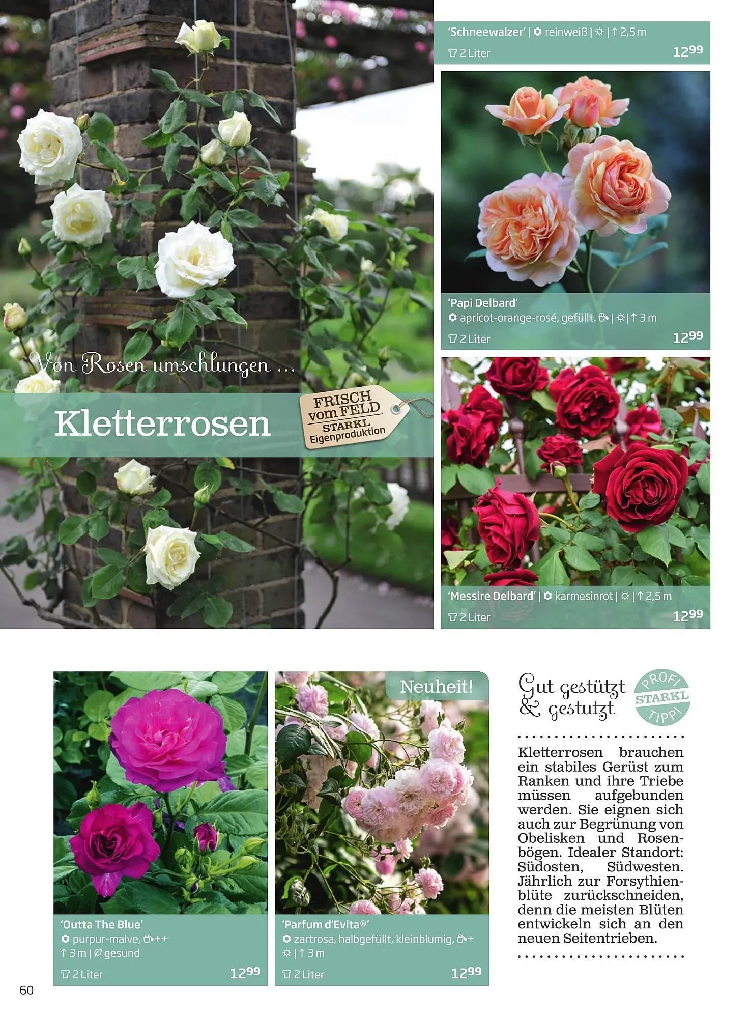 Starkl Flugblatt von 1. April bis 31. Dezember 2024 - Flugblätt seite  60