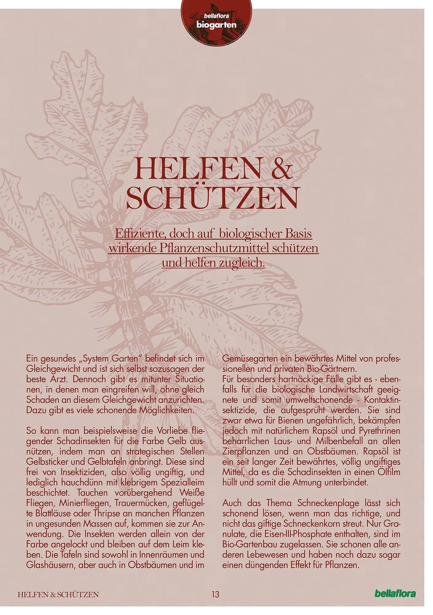 Bellaflora Flugblatt von 3. Jänner bis 31. Mai 2025 - Flugblätt seite 13