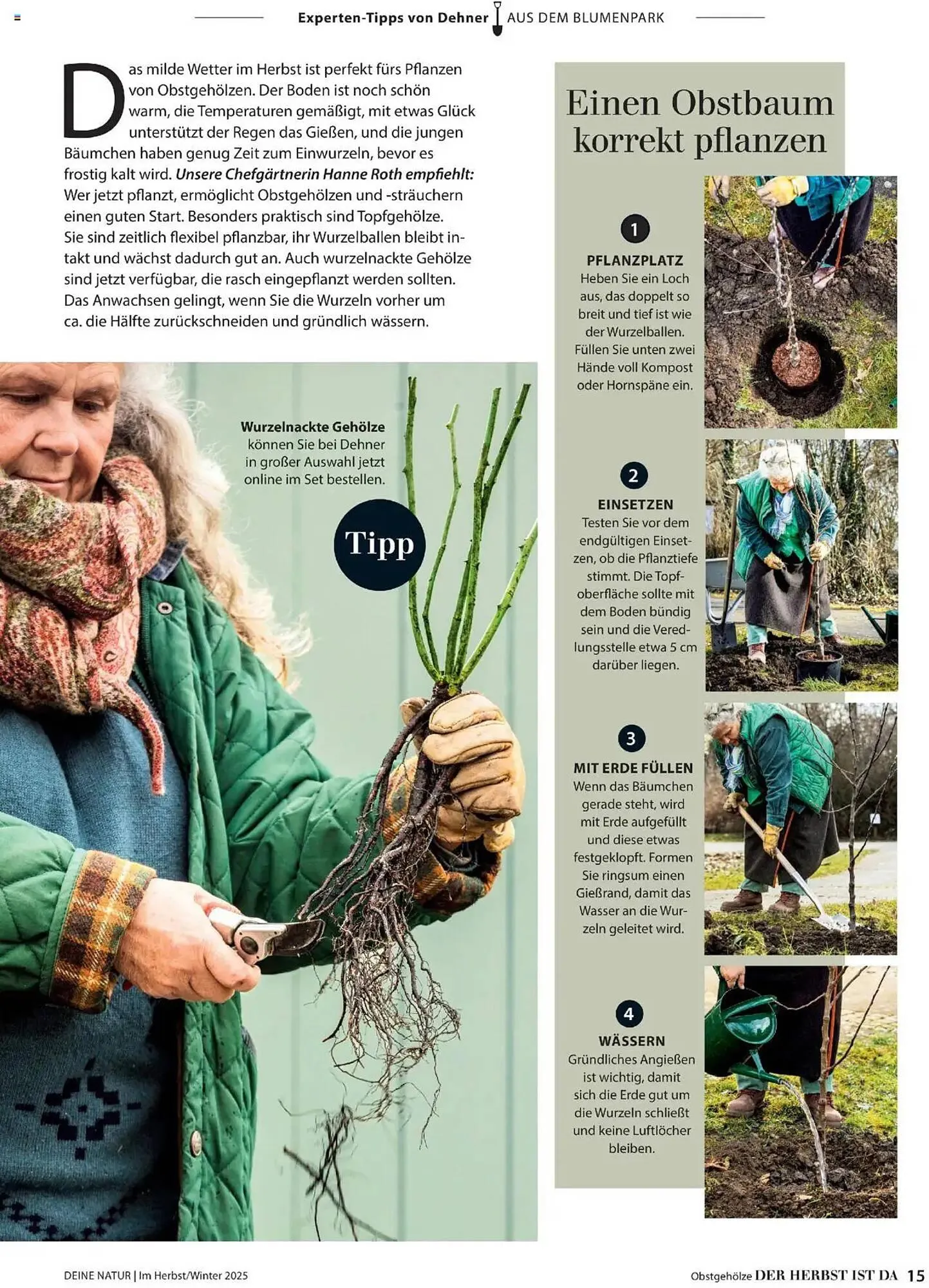 Dehner Flugblatt von 10. Oktober bis 30. November 2025 - Flugblätt seite 15