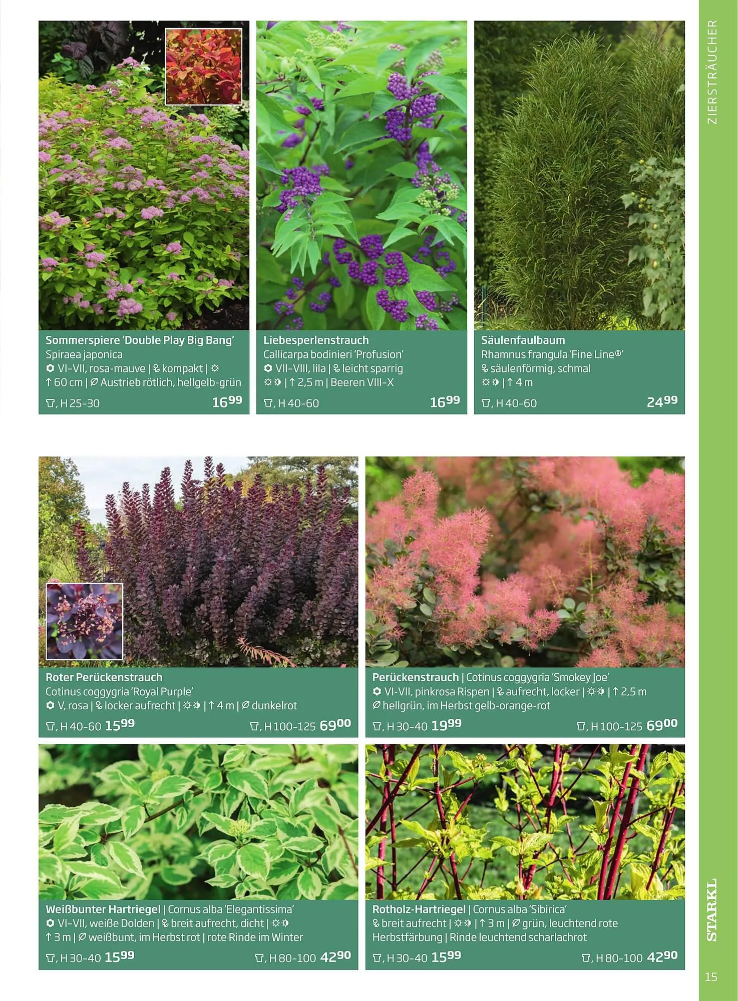 Starkl Flugblatt von 1. April bis 31. Dezember 2024 - Flugblätt seite 15