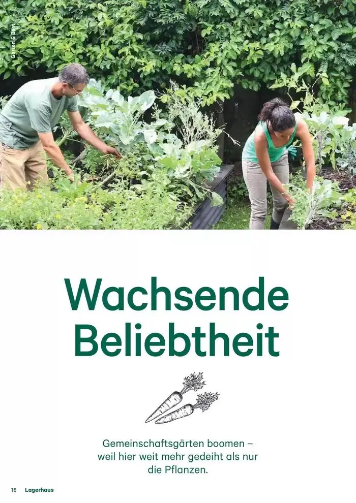 Nr. 1 - Lagerhaus Magazin 2025 von 28. Jänner bis 11. Februar 2025 - Flugblätt seite  18