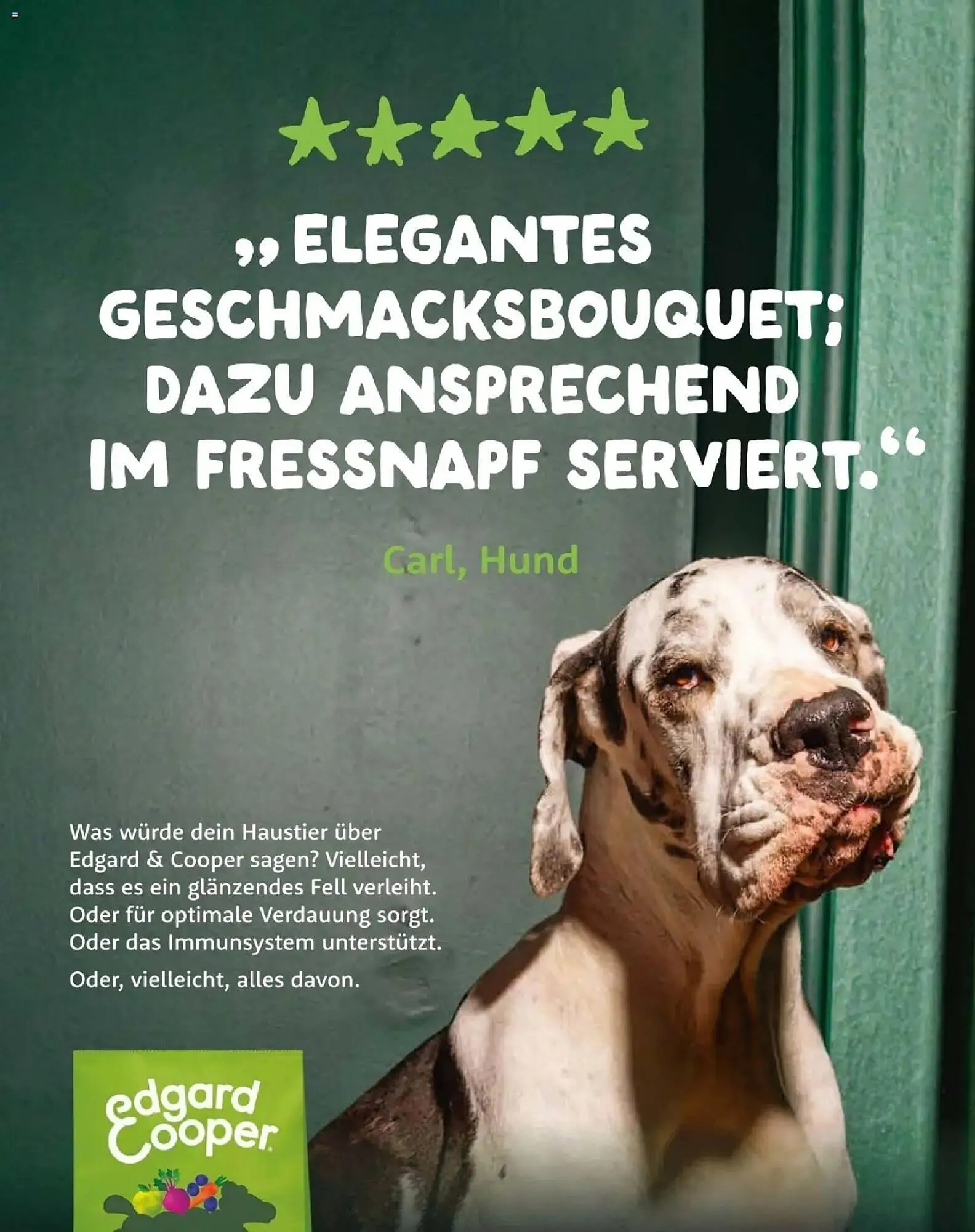 Fressnapf Flugblatt von 1. November bis 31. Dezember 2025 - Flugblätt seite  51