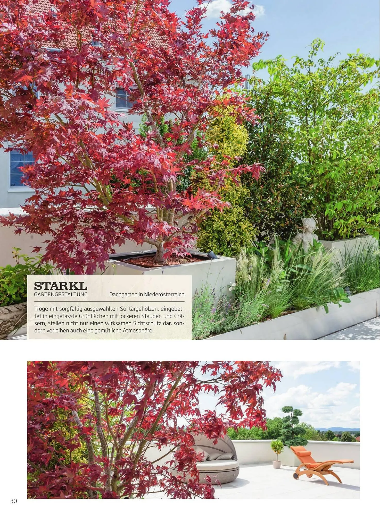Starkl Flugblatt von 6. Juni bis 31. Dezember 2025 - Flugblätt seite  30