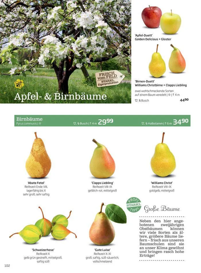 Gartencenter Jahreskatalog 2024 von 20. Mai bis 31. Dezember 2024 - Flugblätt seite 102