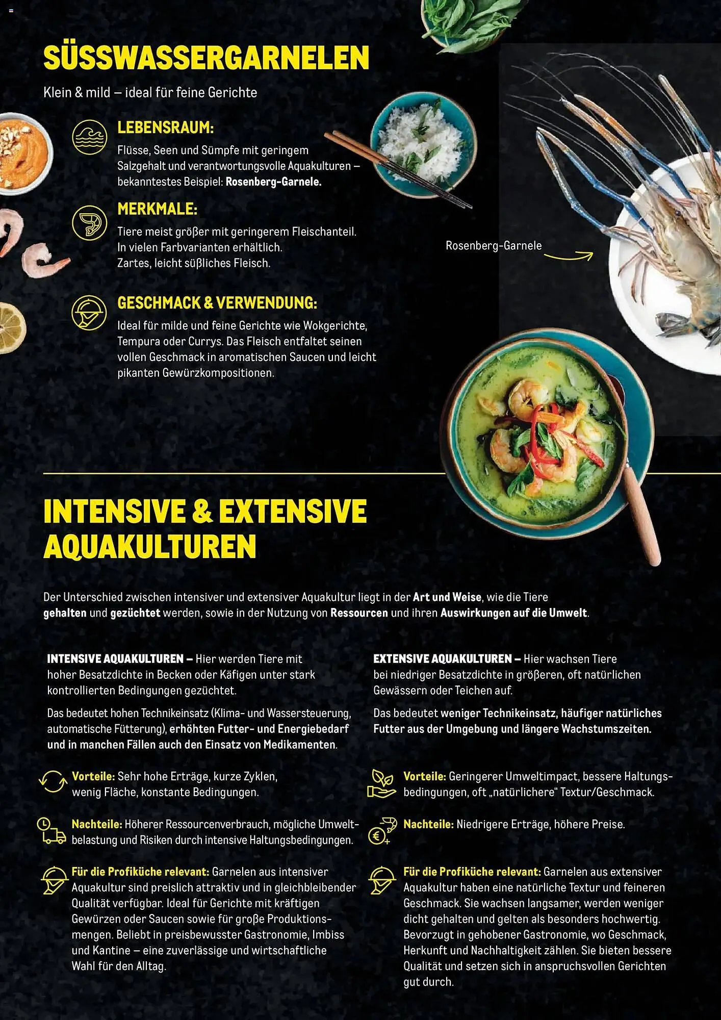 Metro Flugblatt von 27. November bis 31. Dezember 2025 - Flugblätt seite  4