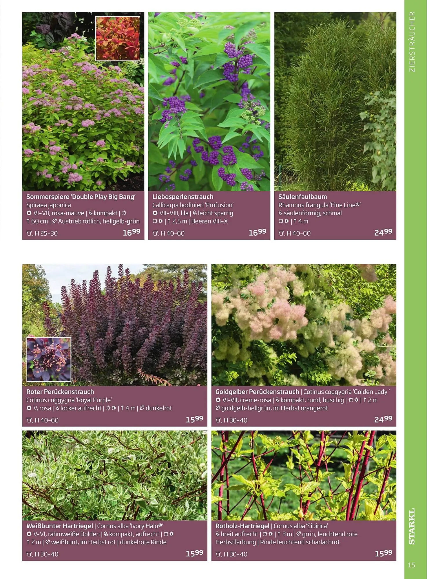 Starkl Flugblatt von 1. Jänner bis 31. Dezember 2023 - Flugblätt seite 15