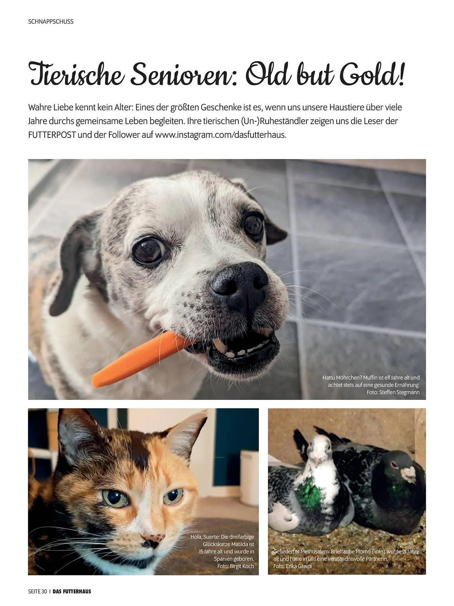 Das Futterhaus Flugblatt von 1. April bis 20. Mai 2024 - Flugblätt seite  30