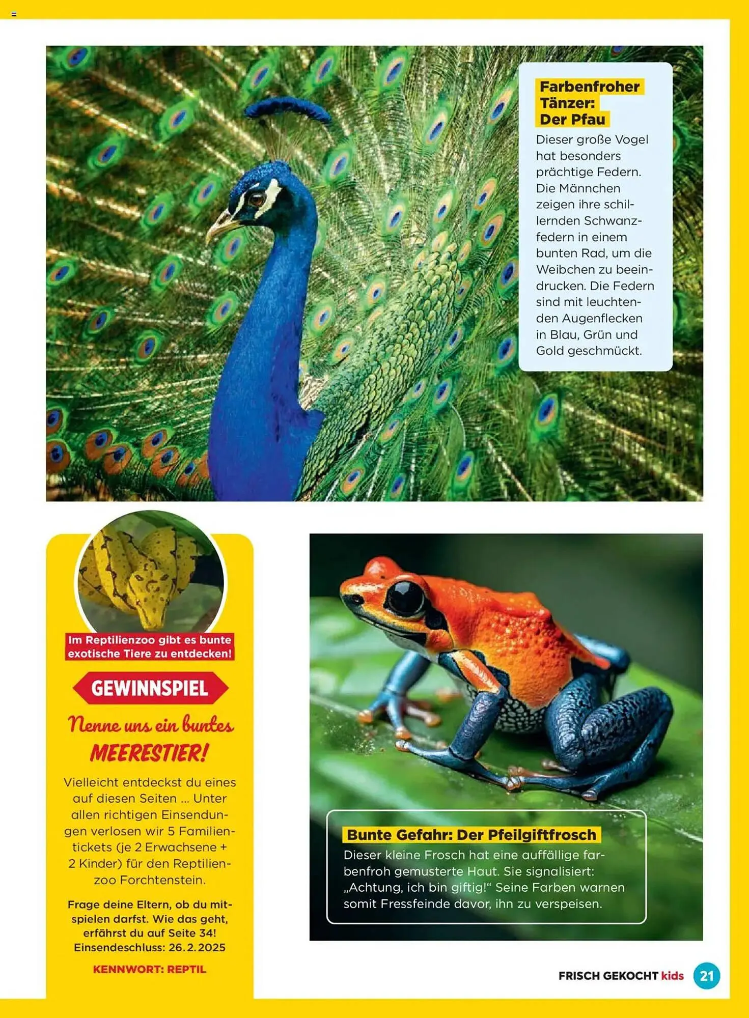 Billa Flugblatt von 1. Jänner bis 28. Februar 2025 - Flugblätt seite  21