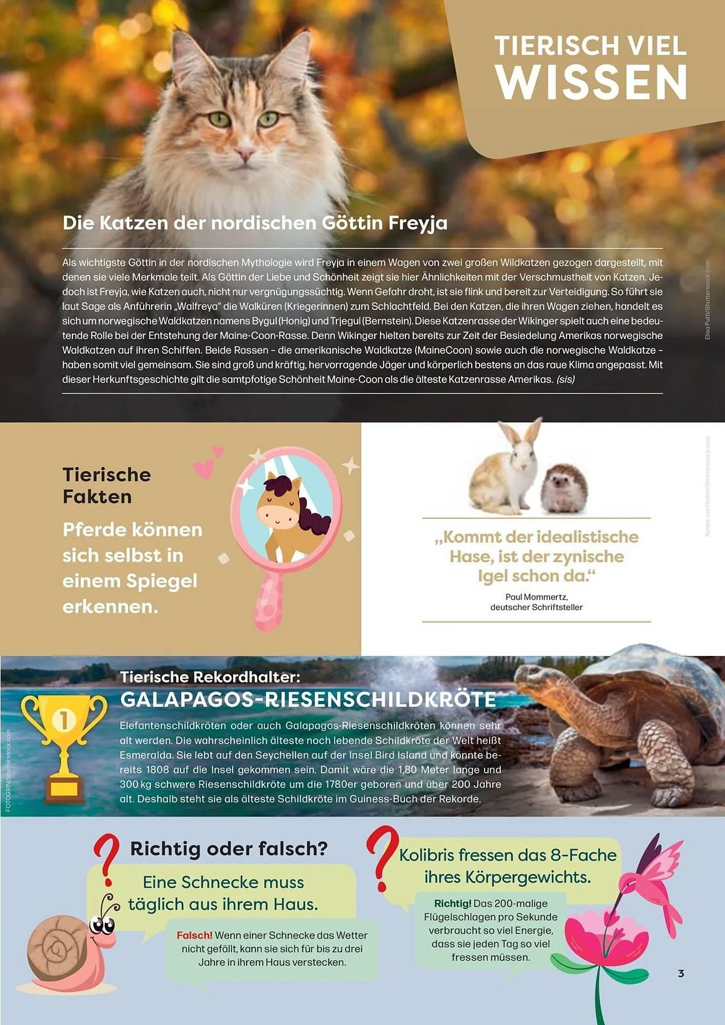 ZOO & Co Flugblatt von 30. August bis 8. November 2024 - Flugblätt seite 3