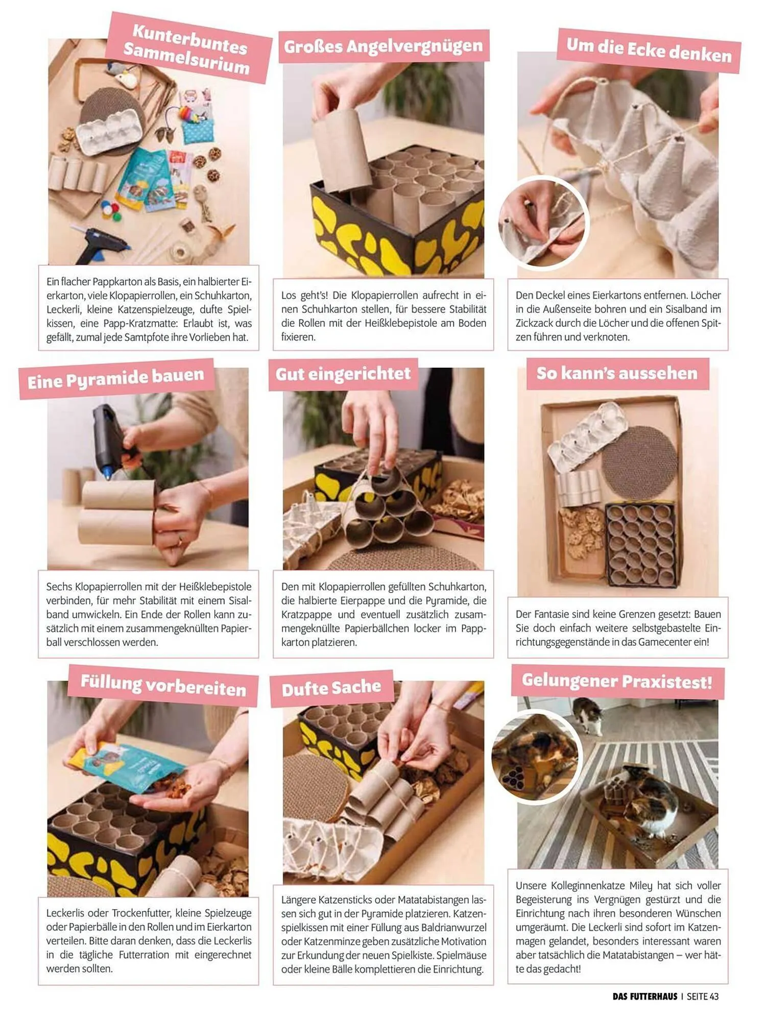 Das Futterhaus Flugblatt von 1. August bis 3. Oktober 2024 - Flugblätt seite 43
