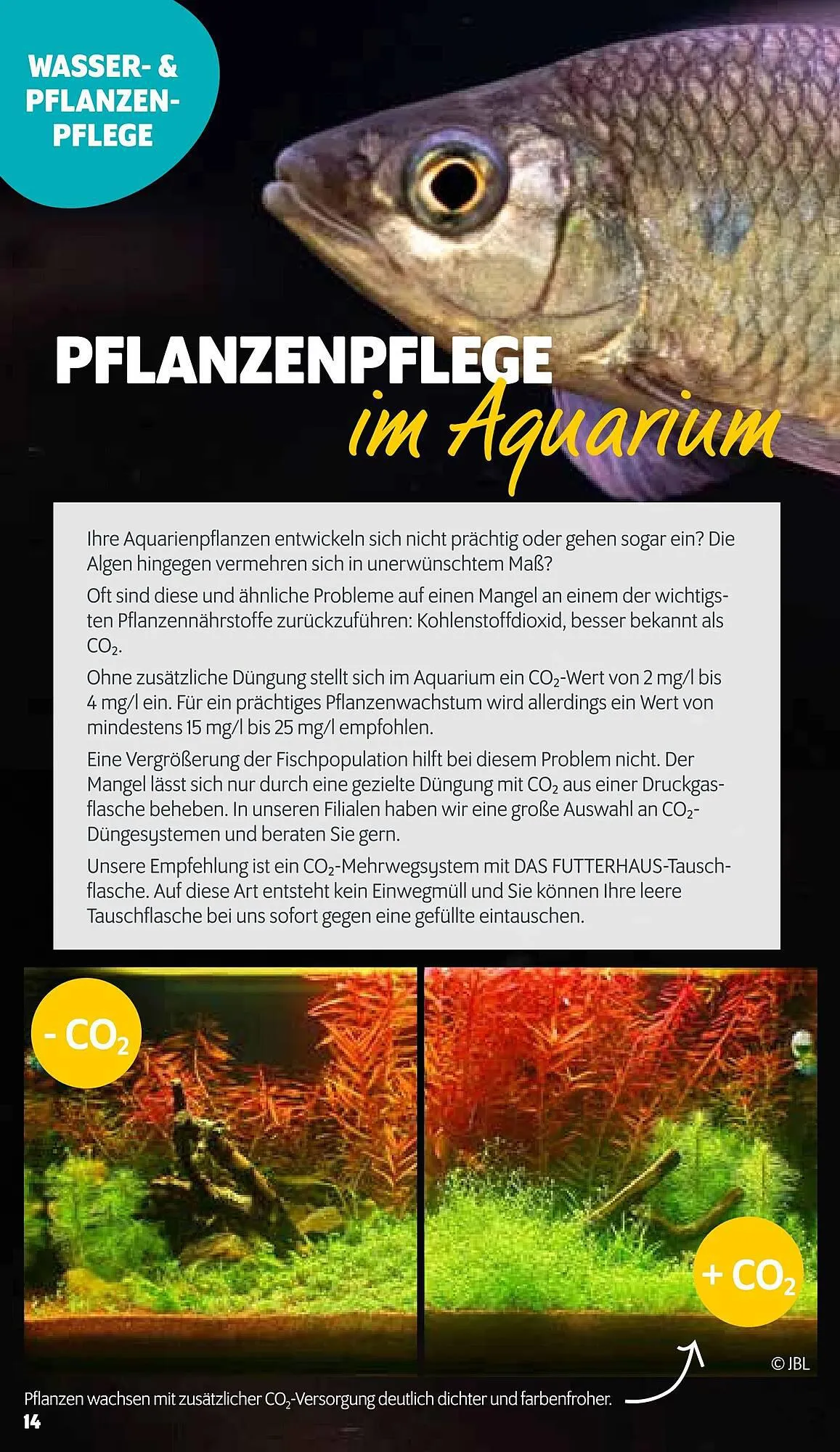 Das Futterhaus Flugblatt von 23. Februar bis 23. März 2024 - Flugblätt seite 14