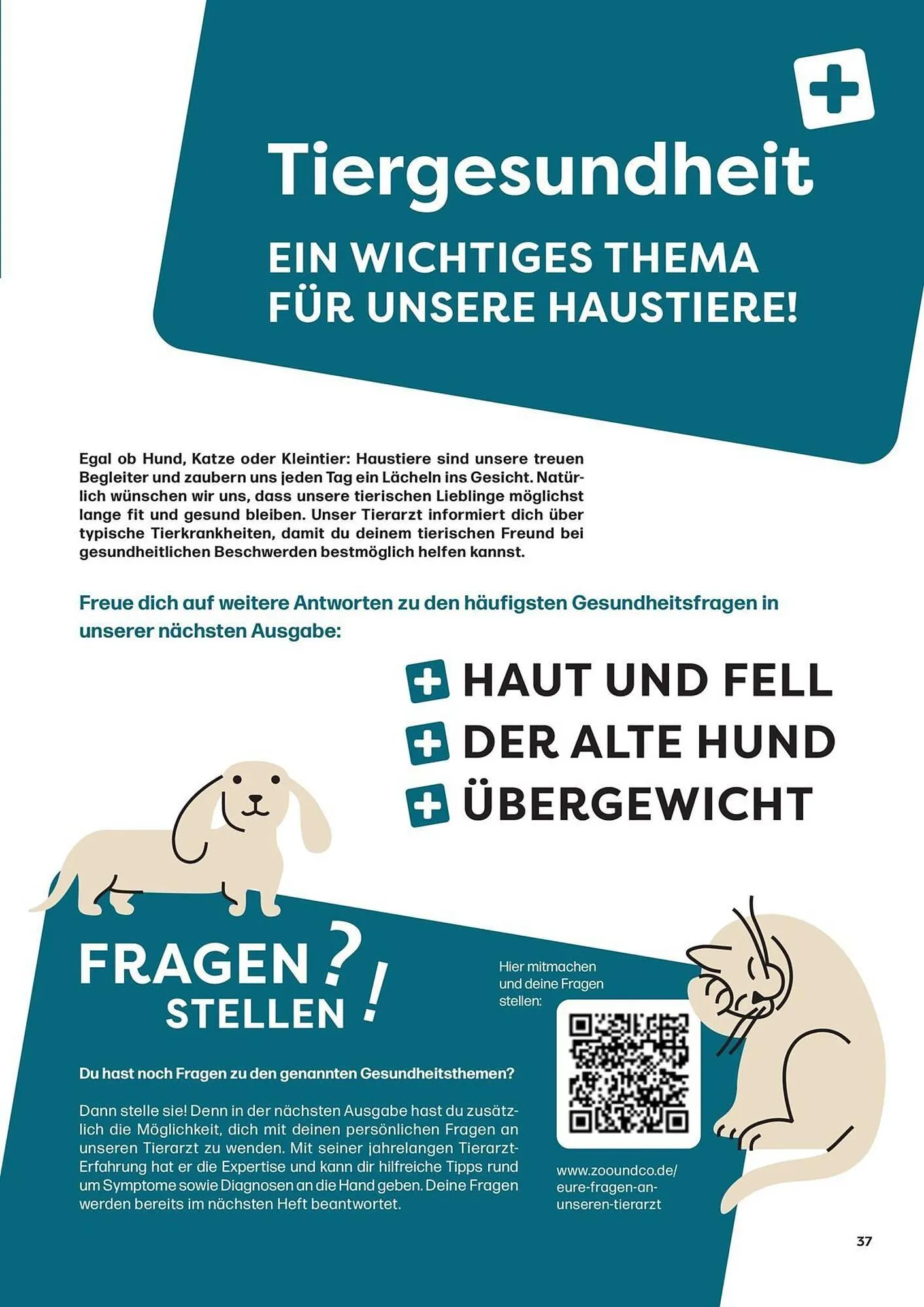 ZOO & Co Flugblatt von 30. August bis 8. November 2024 - Flugblätt seite 37