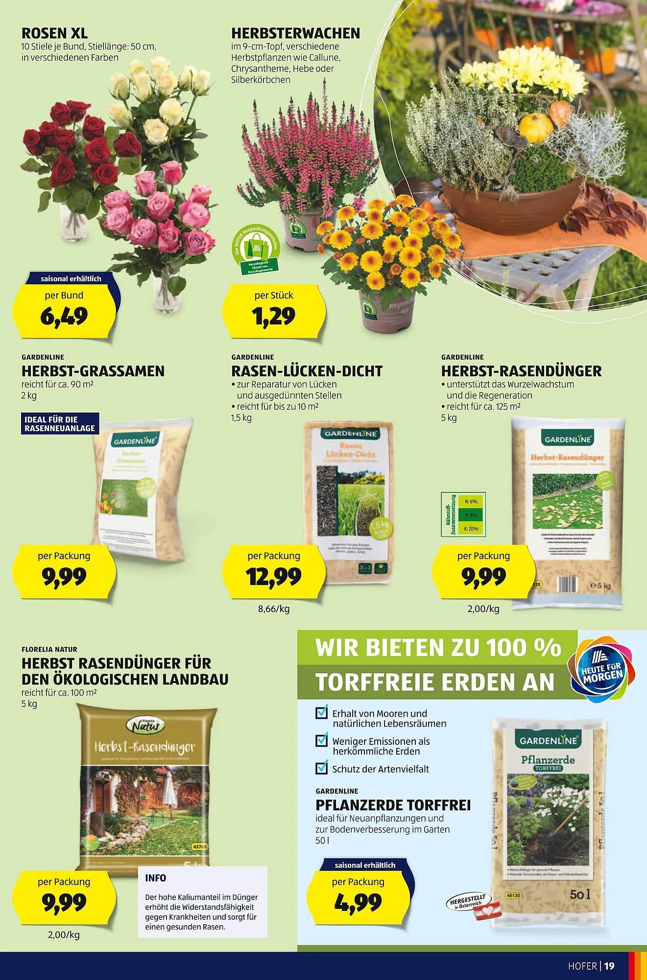 Hofer Flugblatt von 18. August bis 24. August 2023 - Flugblätt seite 21