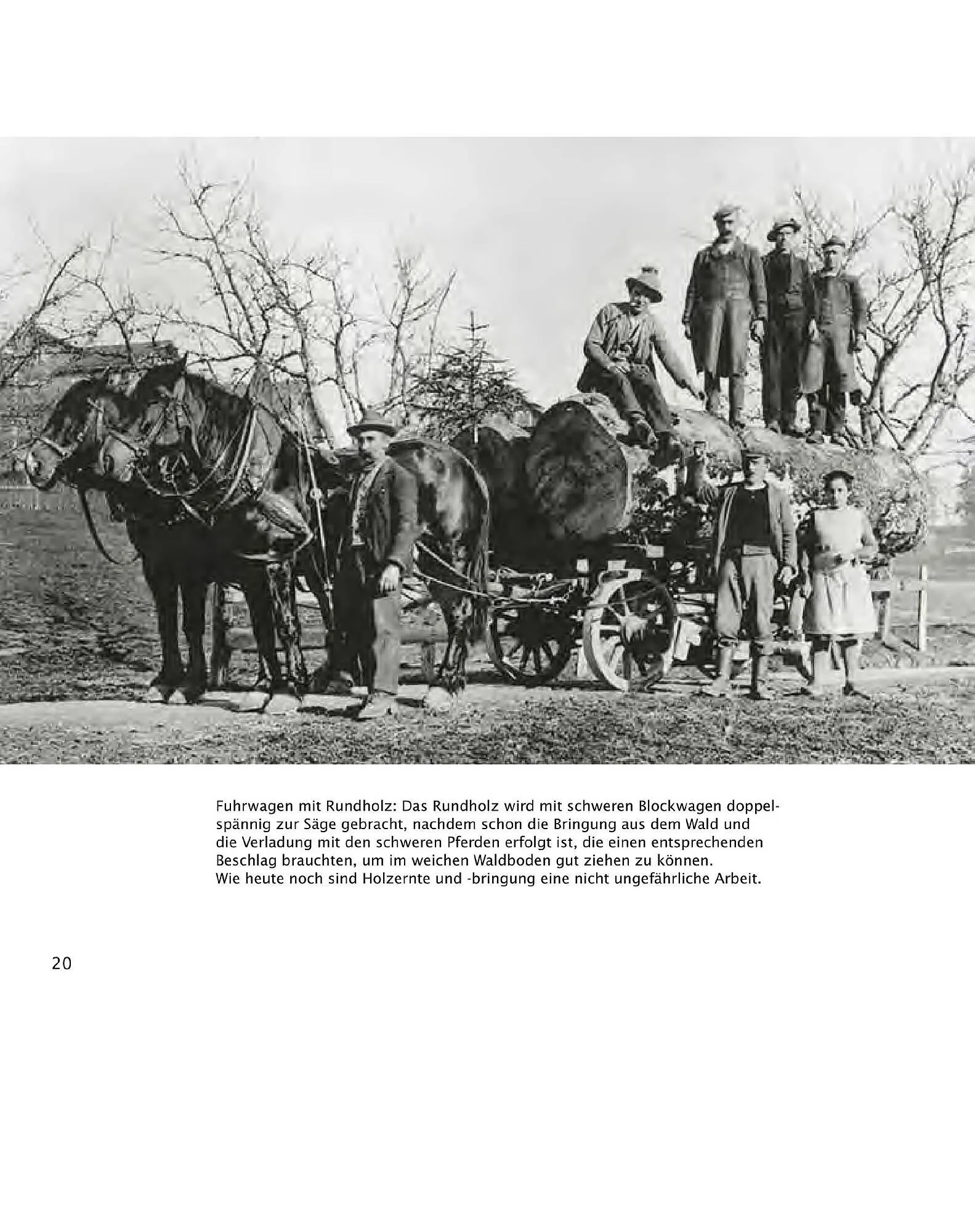 Sutterlüty Flugblatt von 21. Juli bis 31. Dezember 2025 - Flugblätt seite  20