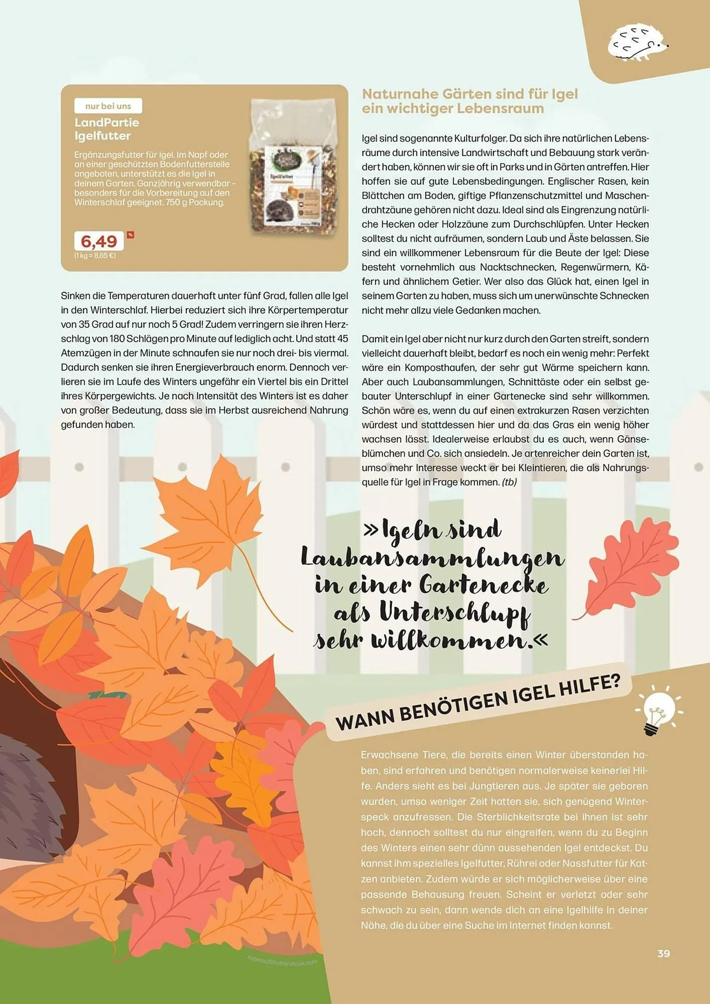 ZOO & Co Flugblatt von 30. August bis 8. November 2024 - Flugblätt seite  39