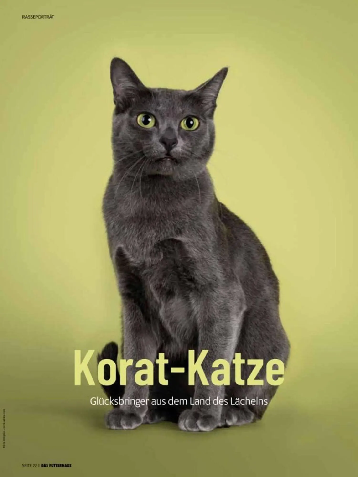 Das Futterhaus Prospekt von 3. Oktober bis 30. November 2025 - Flugblätt seite  22