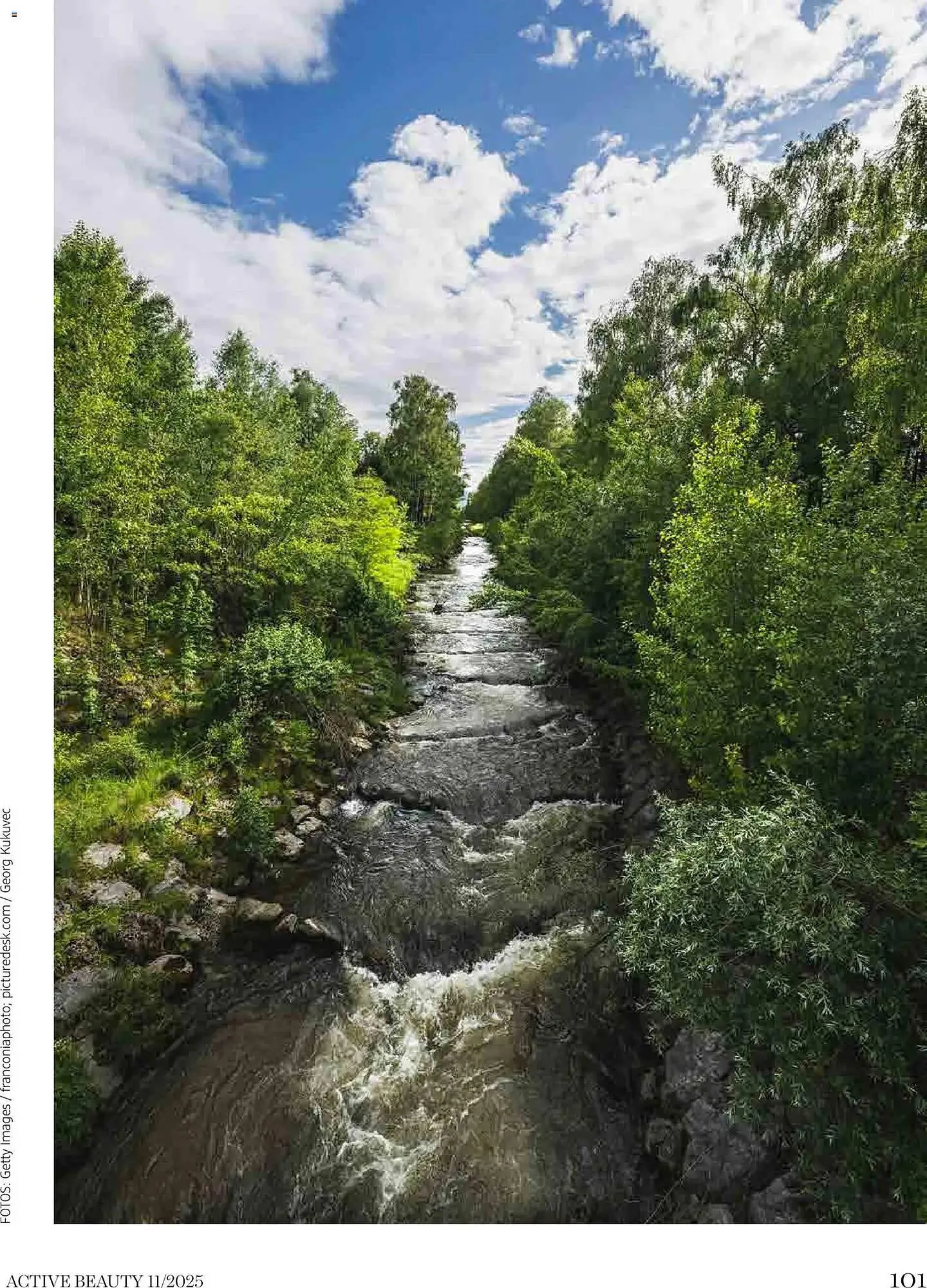 Dm Flugblatt von 1. November bis 30. November 2025 - Flugblätt seite  101