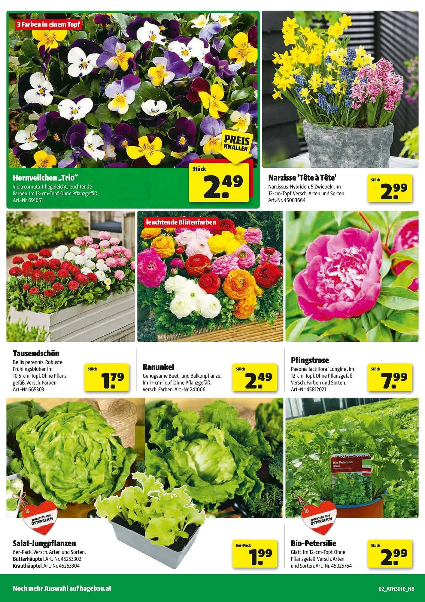 Eurogast Grissemann Flugblatt von 18. Februar bis 7. März 2026 - Flugblätt seite 2