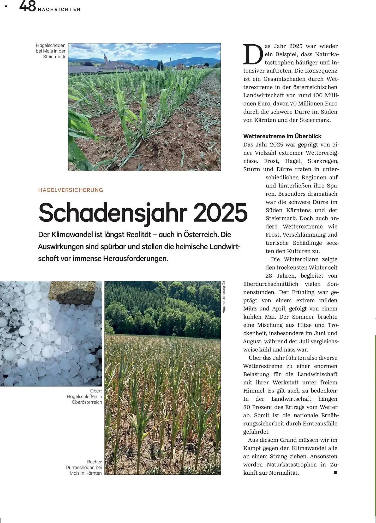 Lagerhaus Flugblatt von 1. Dezember bis 31. Dezember 2025 - Flugblätt seite  48