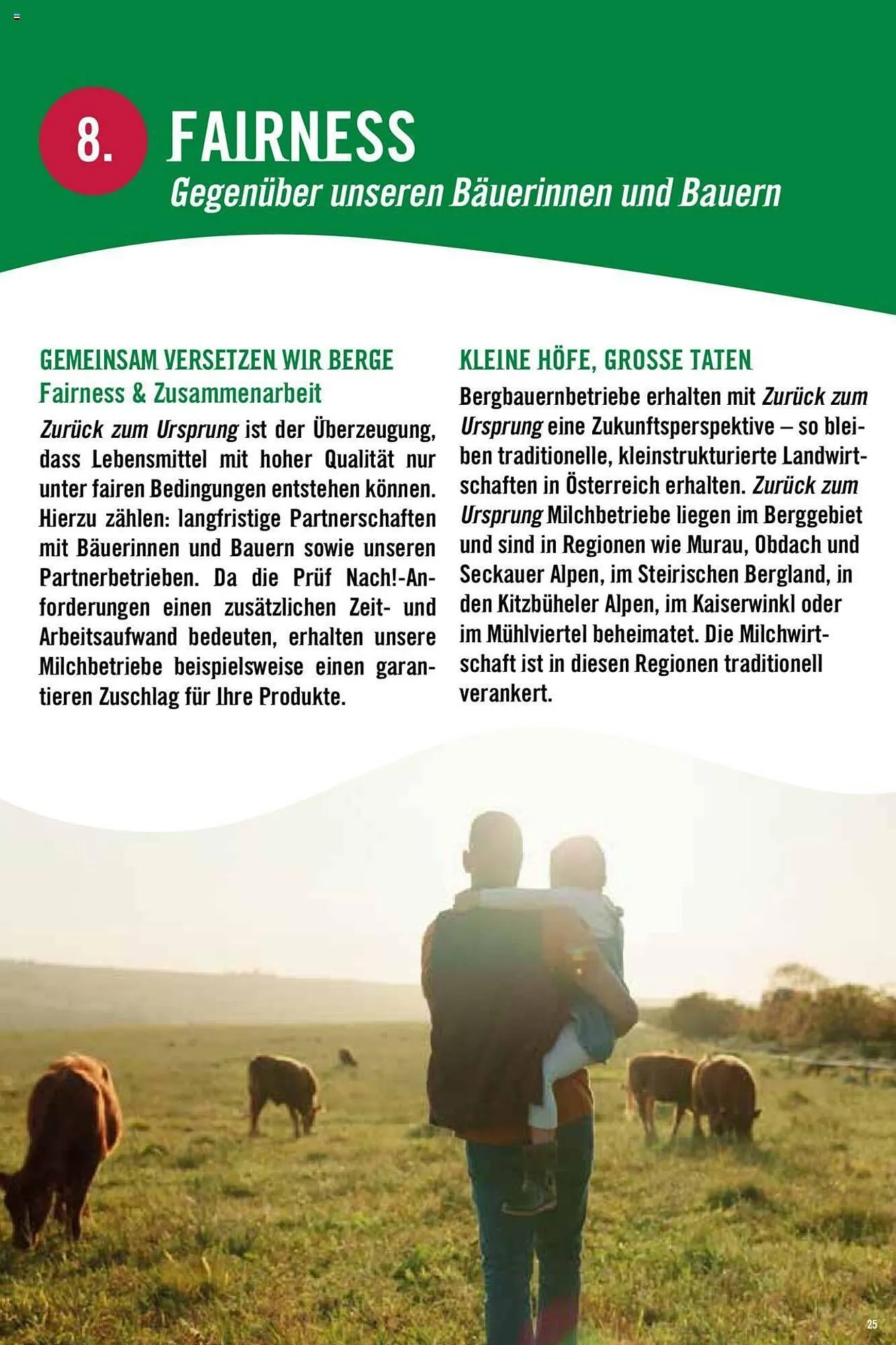 Hofer Flugblatt von 8. Oktober bis 4. März 2026 - Flugblätt seite  25