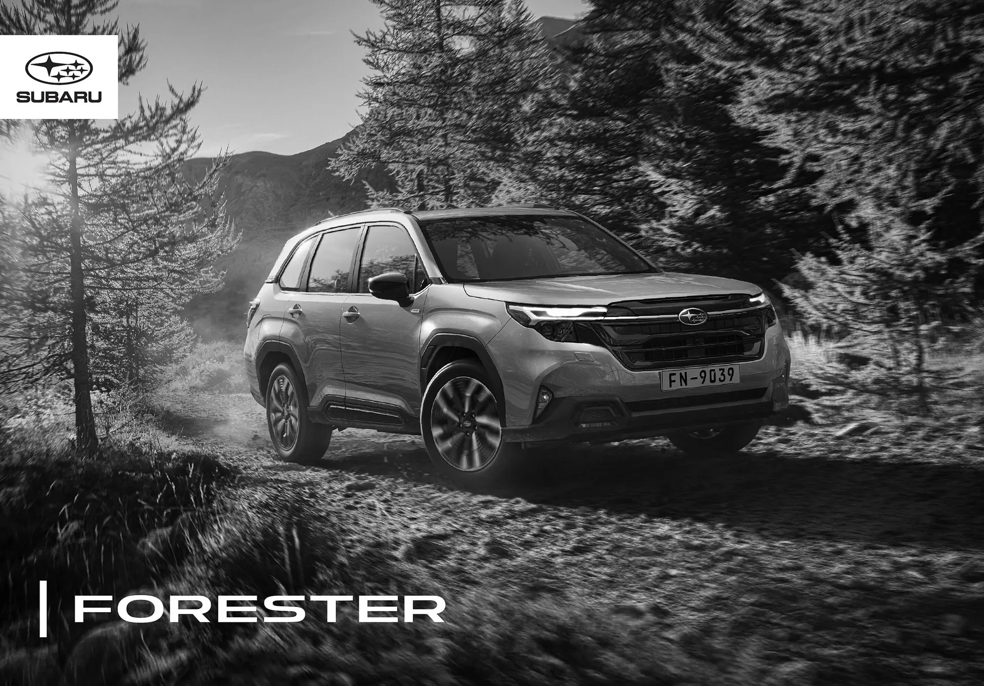 Subaru Flugblatt von 1. Juli bis 31. Dezember 2025 - Flugblätt seite  1