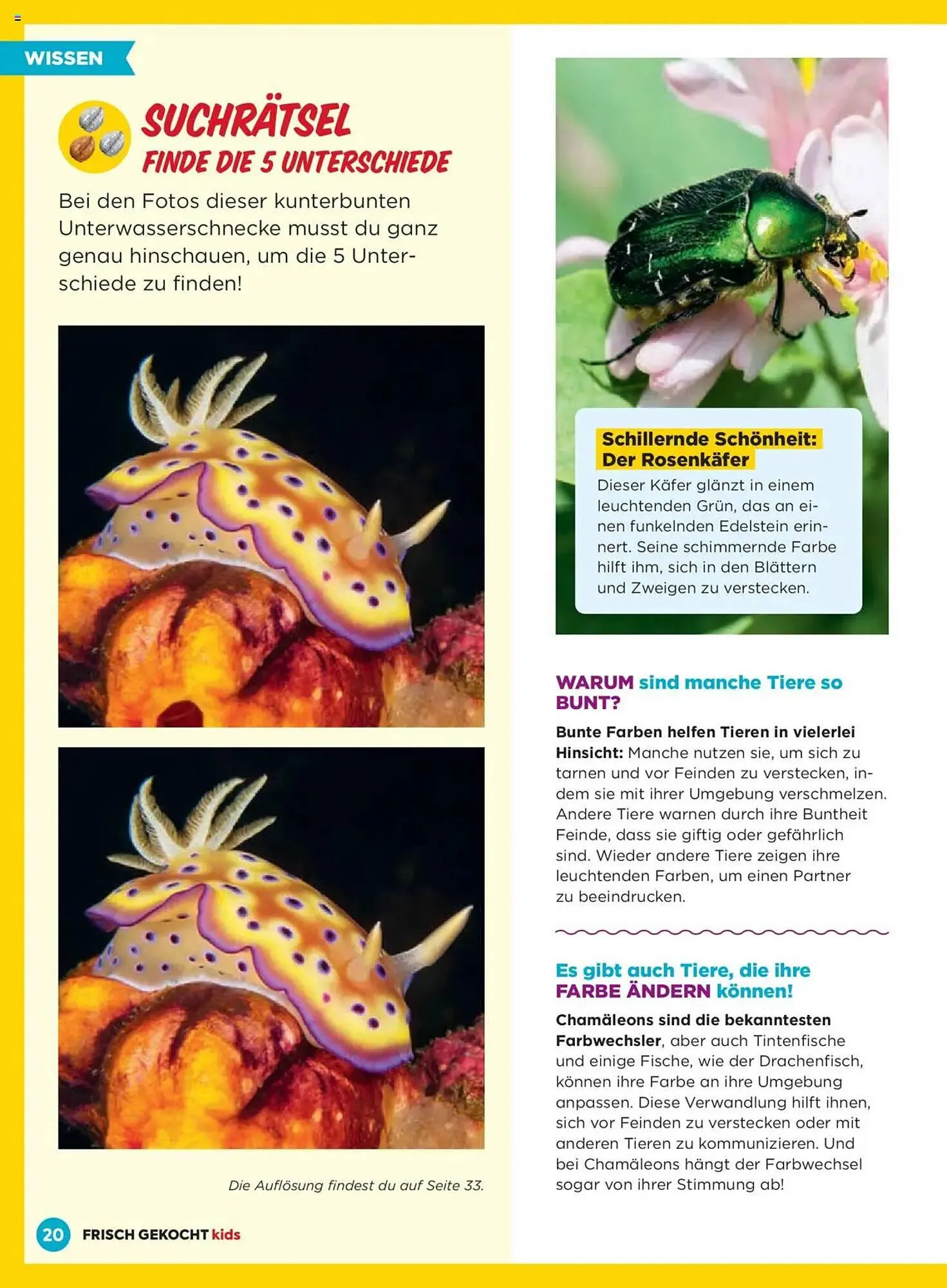 Billa Flugblatt von 1. Jänner bis 28. Februar 2025 - Flugblätt seite  20