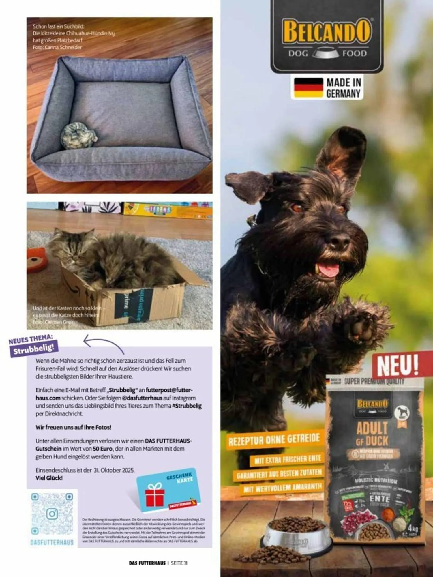 Das Futterhaus Prospekt von 3. Oktober bis 30. November 2025 - Flugblätt seite 31