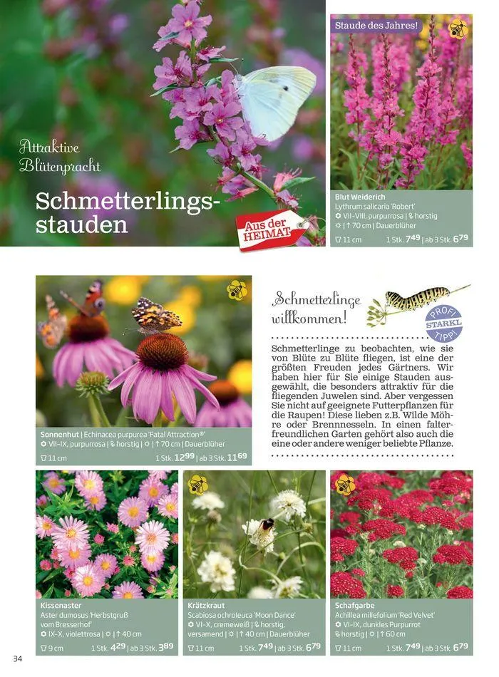 Gartencenter Jahreskatalog 2024 von 20. Mai bis 31. Dezember 2024 - Flugblätt seite 34