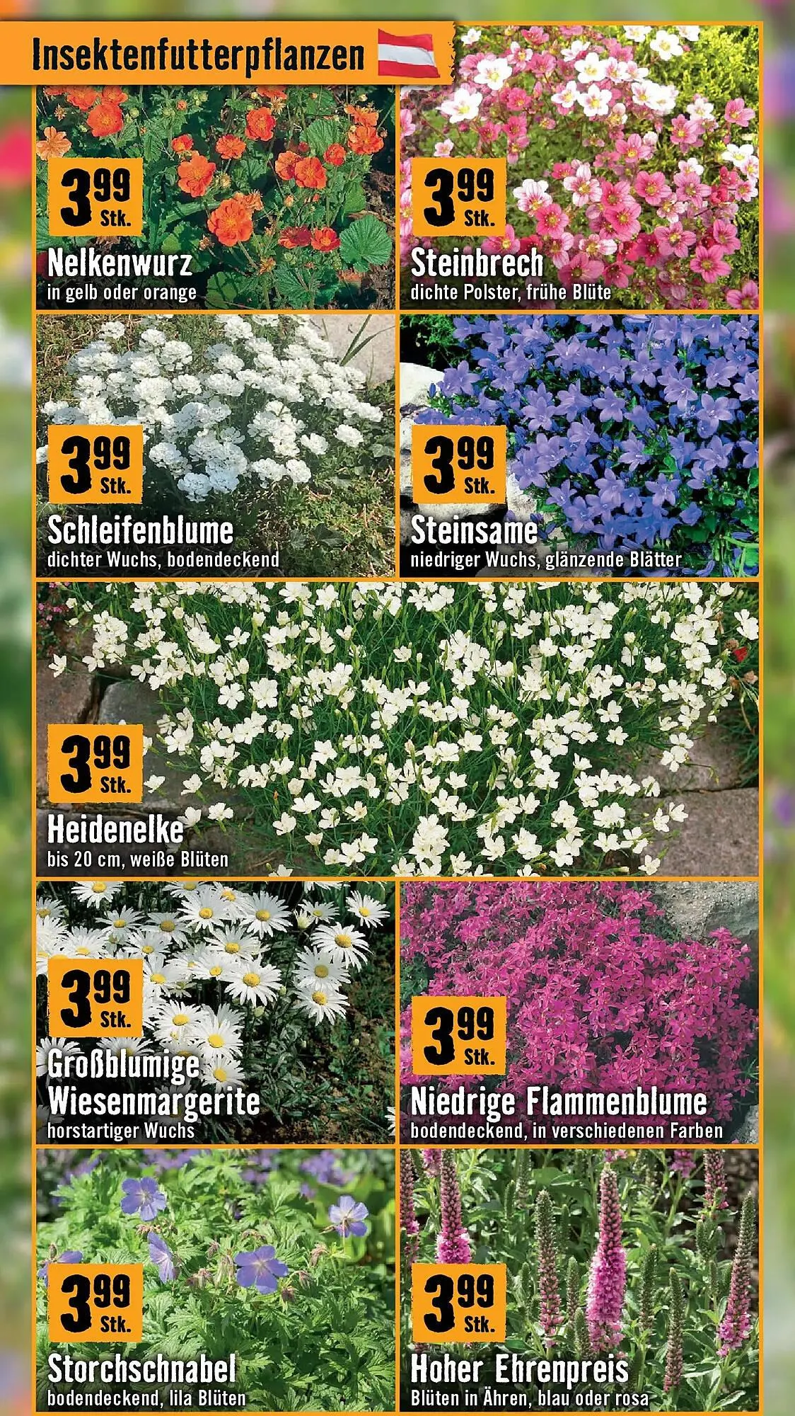 Hornbach Flugblatt von 18. März bis 16. April 2026 - Flugblätt seite 3