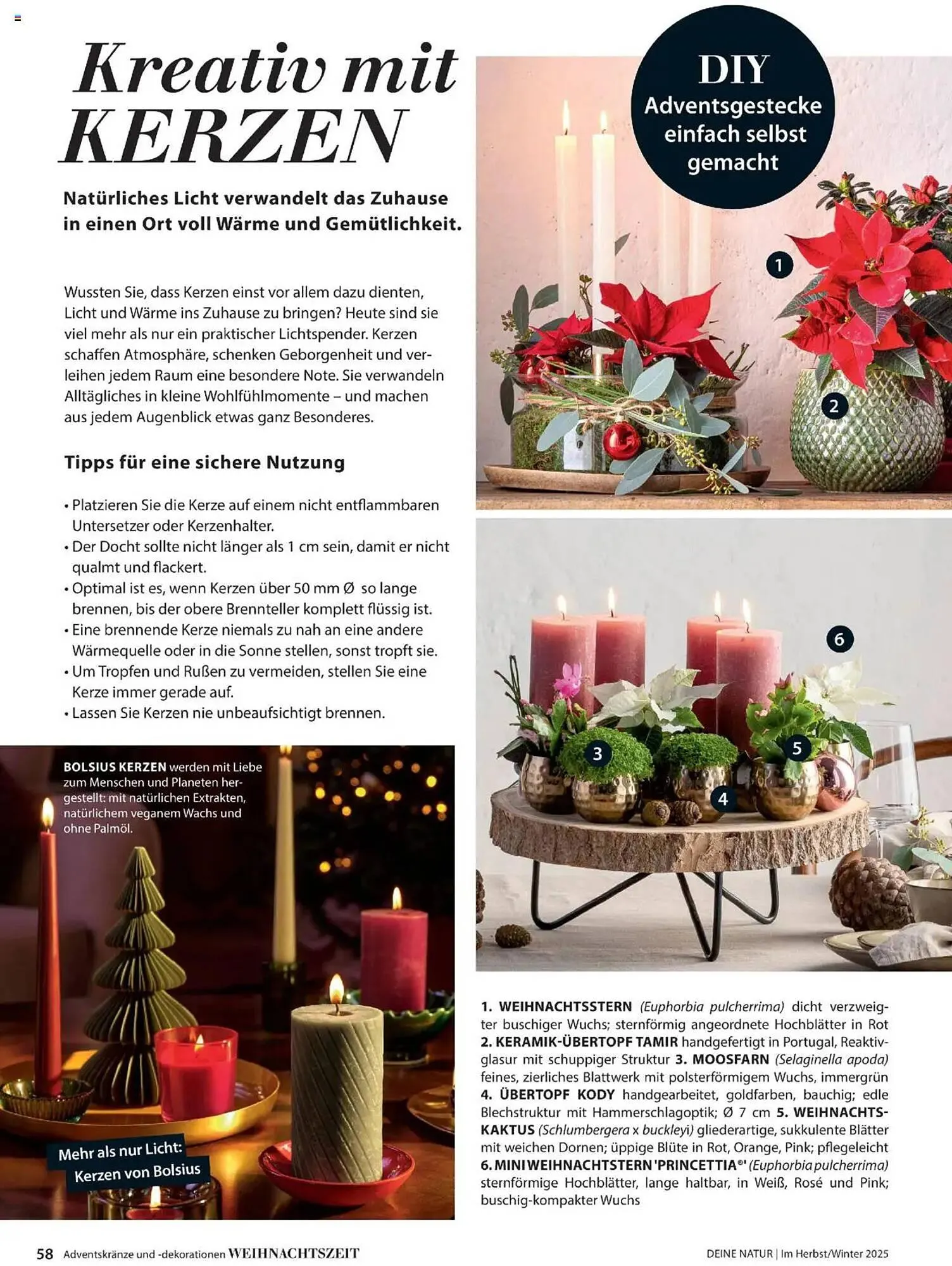 Dehner Flugblatt von 10. Oktober bis 31. Dezember 2025 - Flugblätt seite  58
