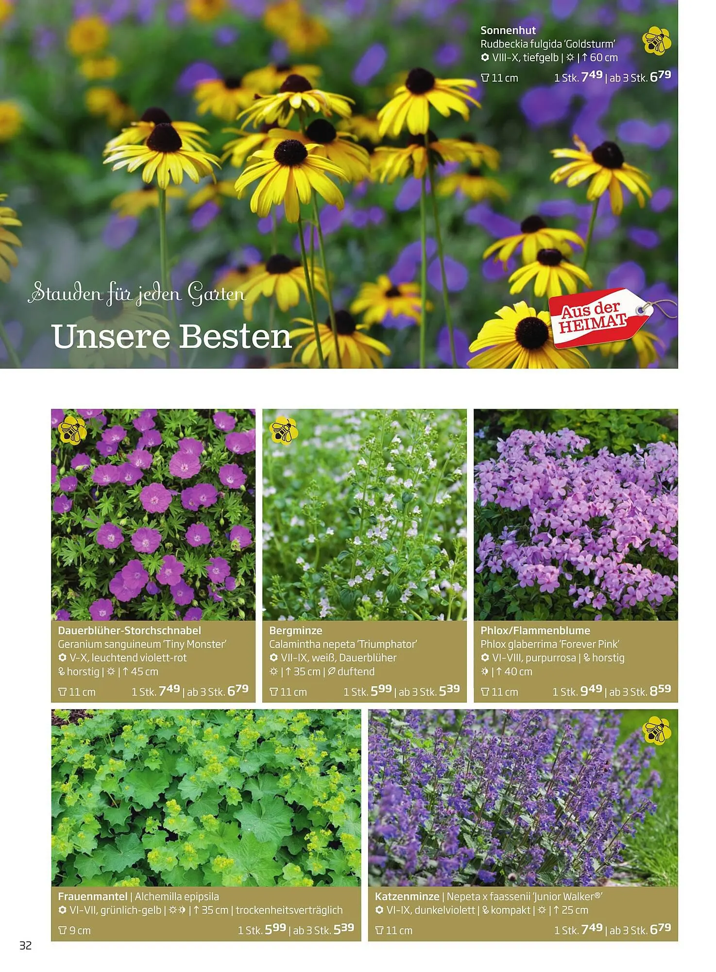 Starkl Flugblatt von 1. April bis 31. Dezember 2024 - Flugblätt seite 32