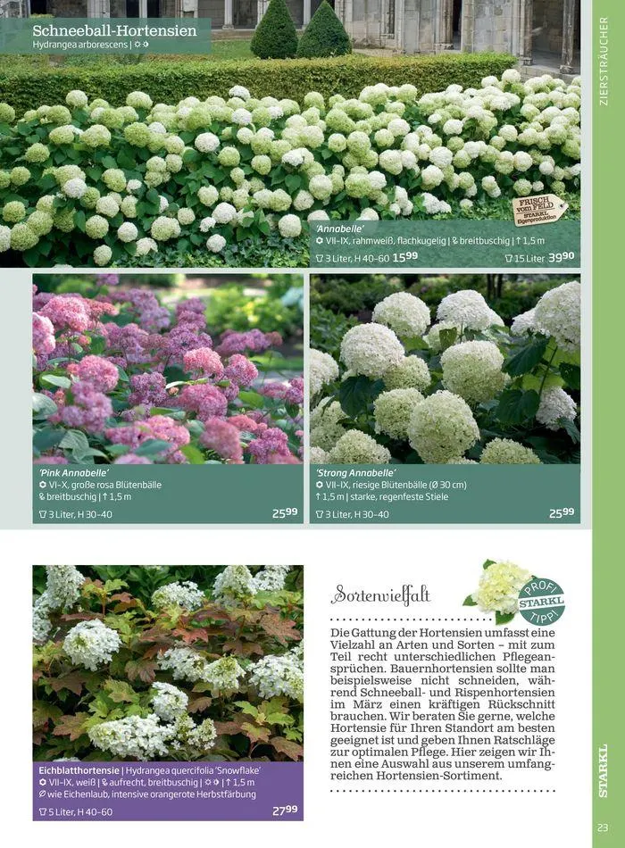 Gartencenter Jahreskatalog 2024 von 20. Mai bis 31. Dezember 2024 - Flugblätt seite  23