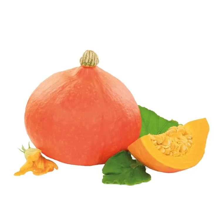 BIO Kürbis Hokkaido Österreich