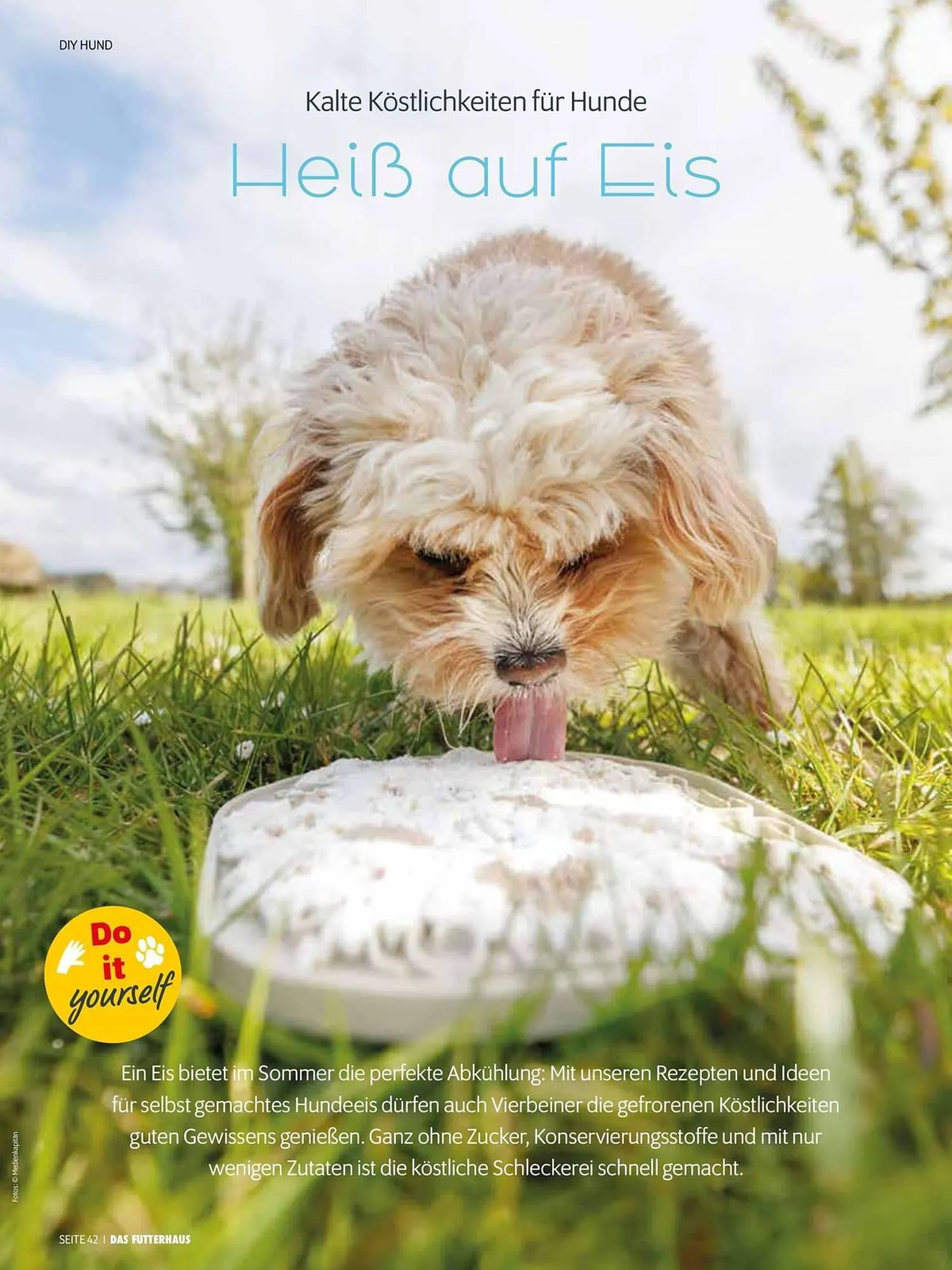 Das Futterhaus Flugblatt von 31. Mai bis 23. Juni 2024 - Flugblätt seite 42