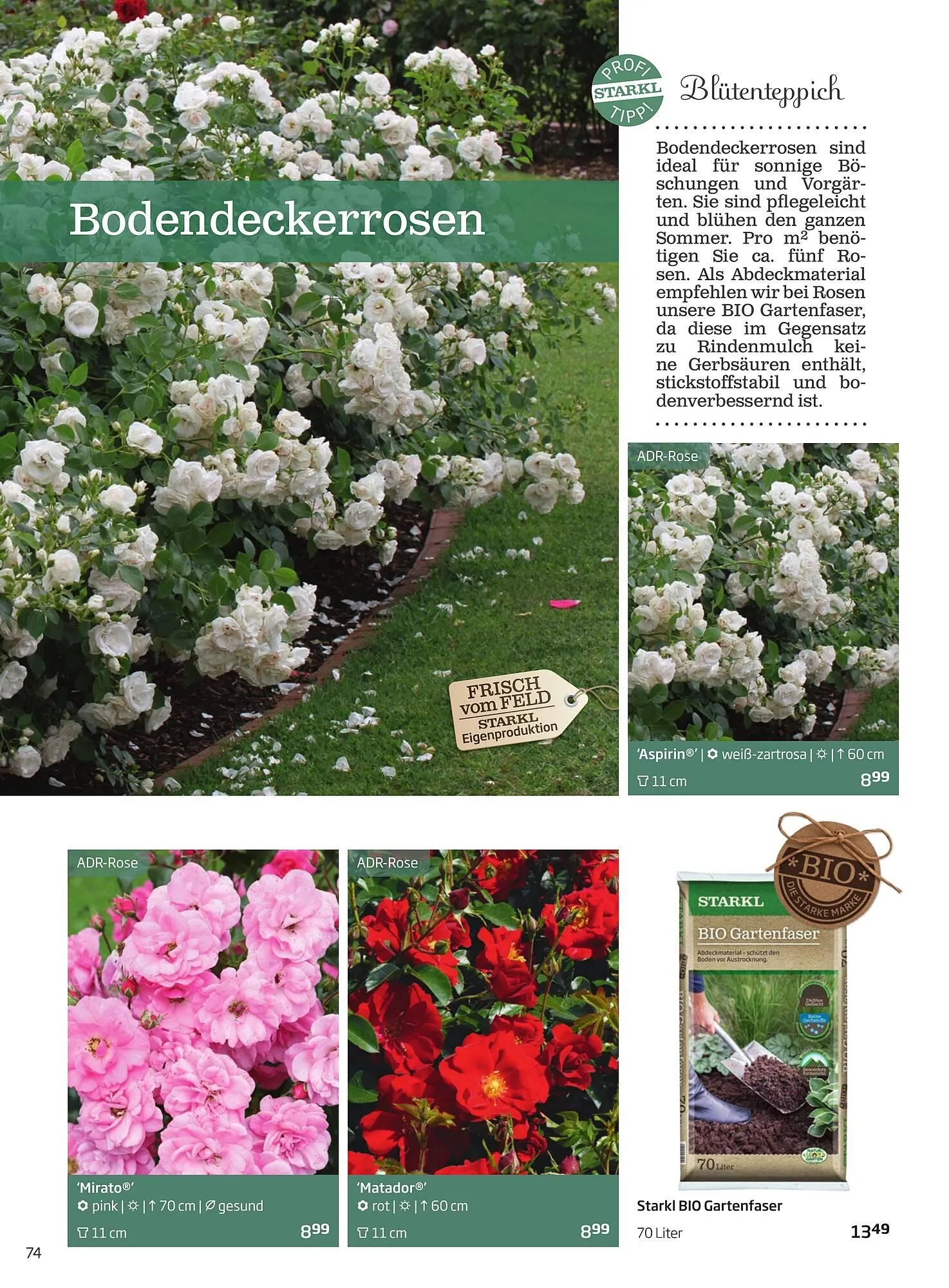 Starkl Flugblatt von 6. Juni bis 31. Dezember 2025 - Flugblätt seite  74