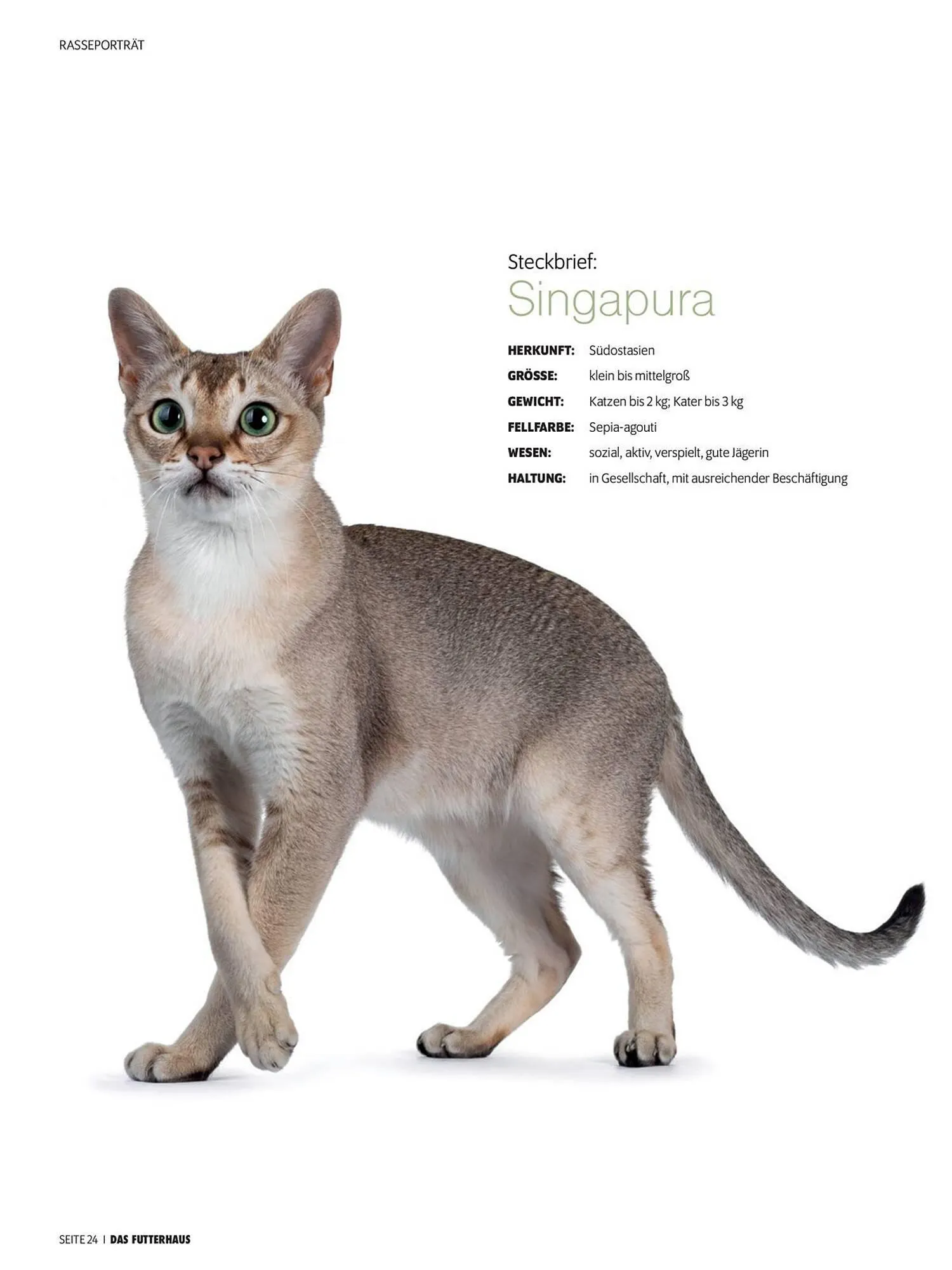 Das Futterhaus Flugblatt von 1. April bis 20. Mai 2024 - Flugblätt seite  24