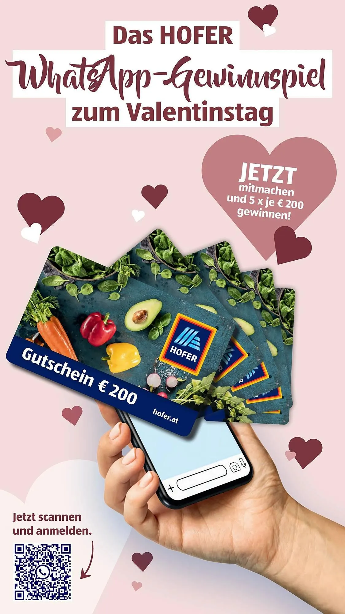 Hofer Flugblatt von 6. Februar bis 12. Februar 2026 - Flugblätt seite 20