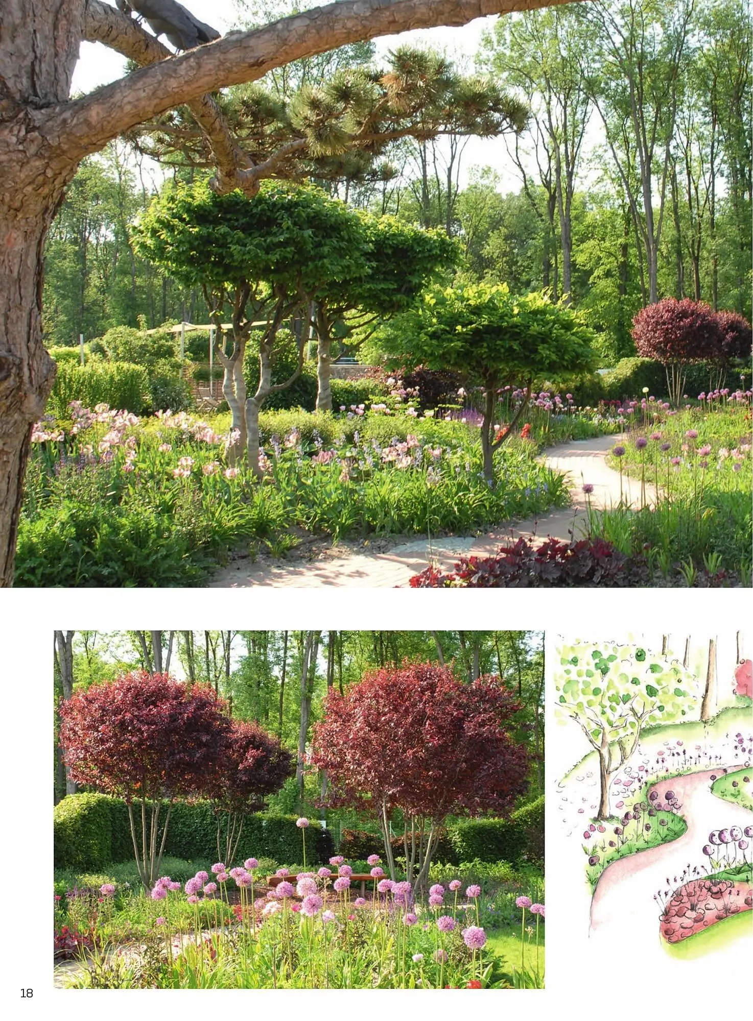 Starkl Flugblatt von 6. Juni bis 31. Dezember 2025 - Flugblätt seite 18