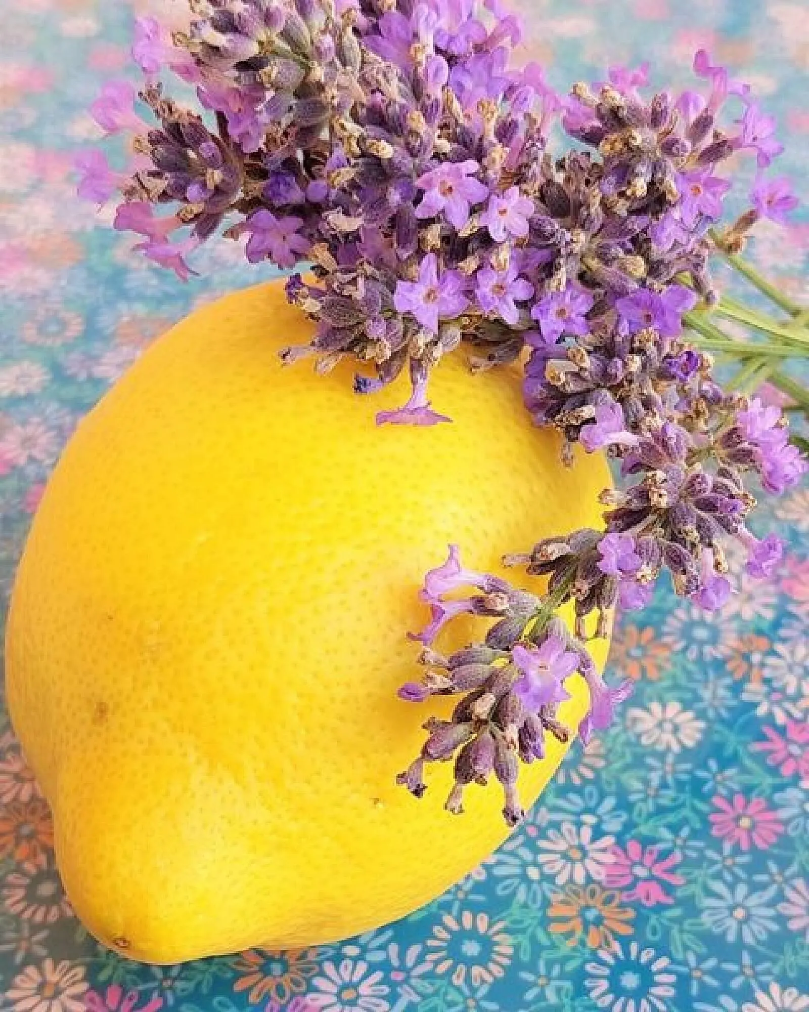 Bellaflora Flugblatt von 24. Juli bis 6. August 2024 - Flugblätt seite  7