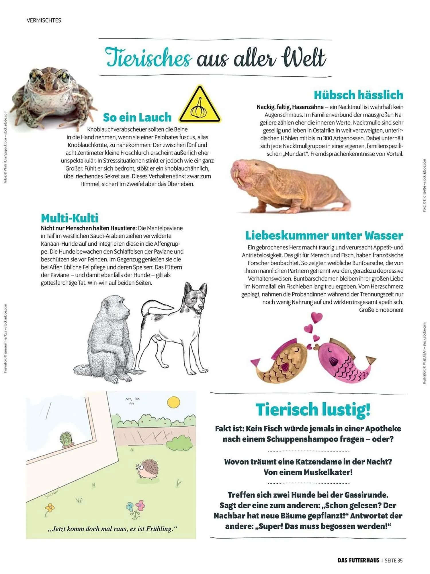 Das Futterhaus Flugblatt von 1. April bis 20. Mai 2024 - Flugblätt seite  35