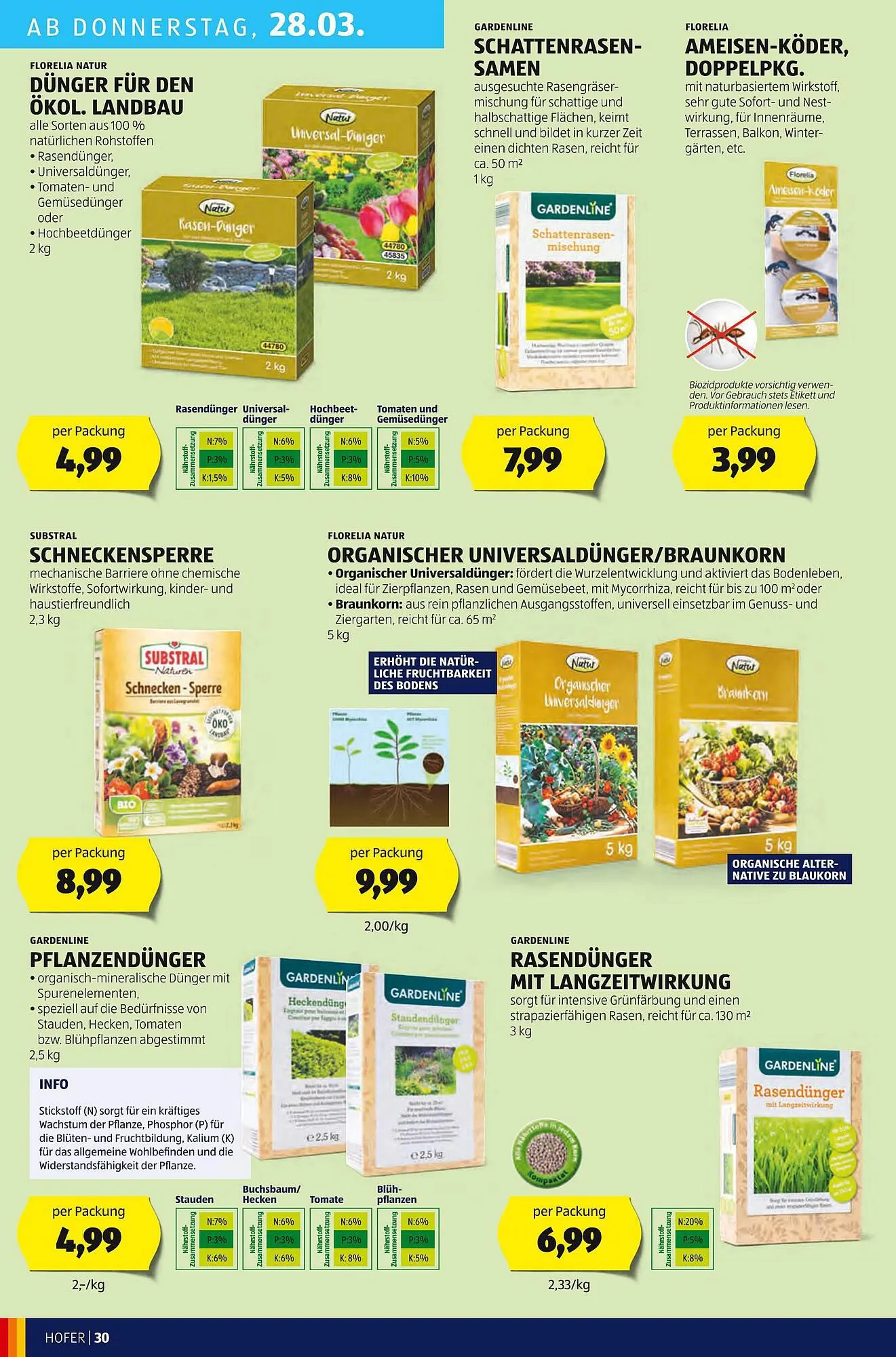 Hofer Flugblatt von 22. März bis 28. März 2024 - Flugblätt seite 32