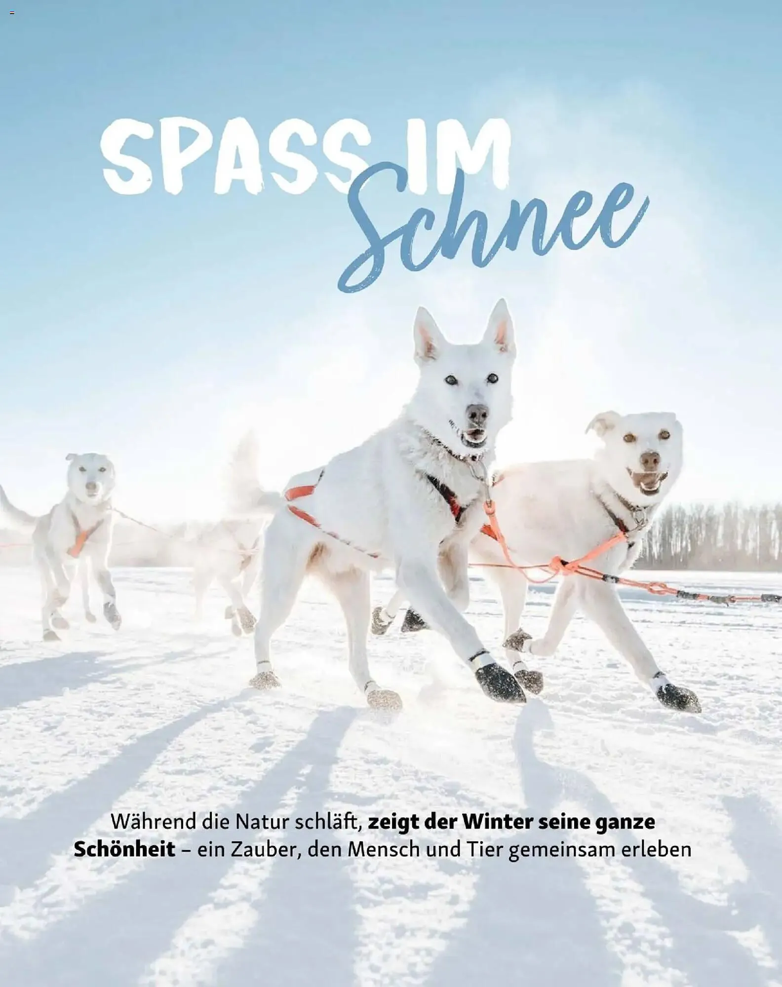 Fressnapf Flugblatt von 1. Jänner bis 28. Februar 2026 - Flugblätt seite 10