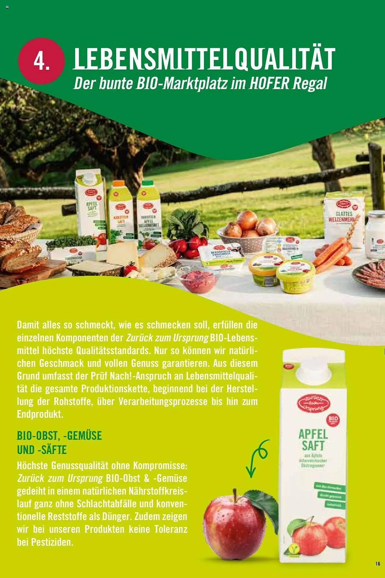 Hofer Flugblatt von 8. Oktober bis 4. März 2026 - Flugblätt seite 16